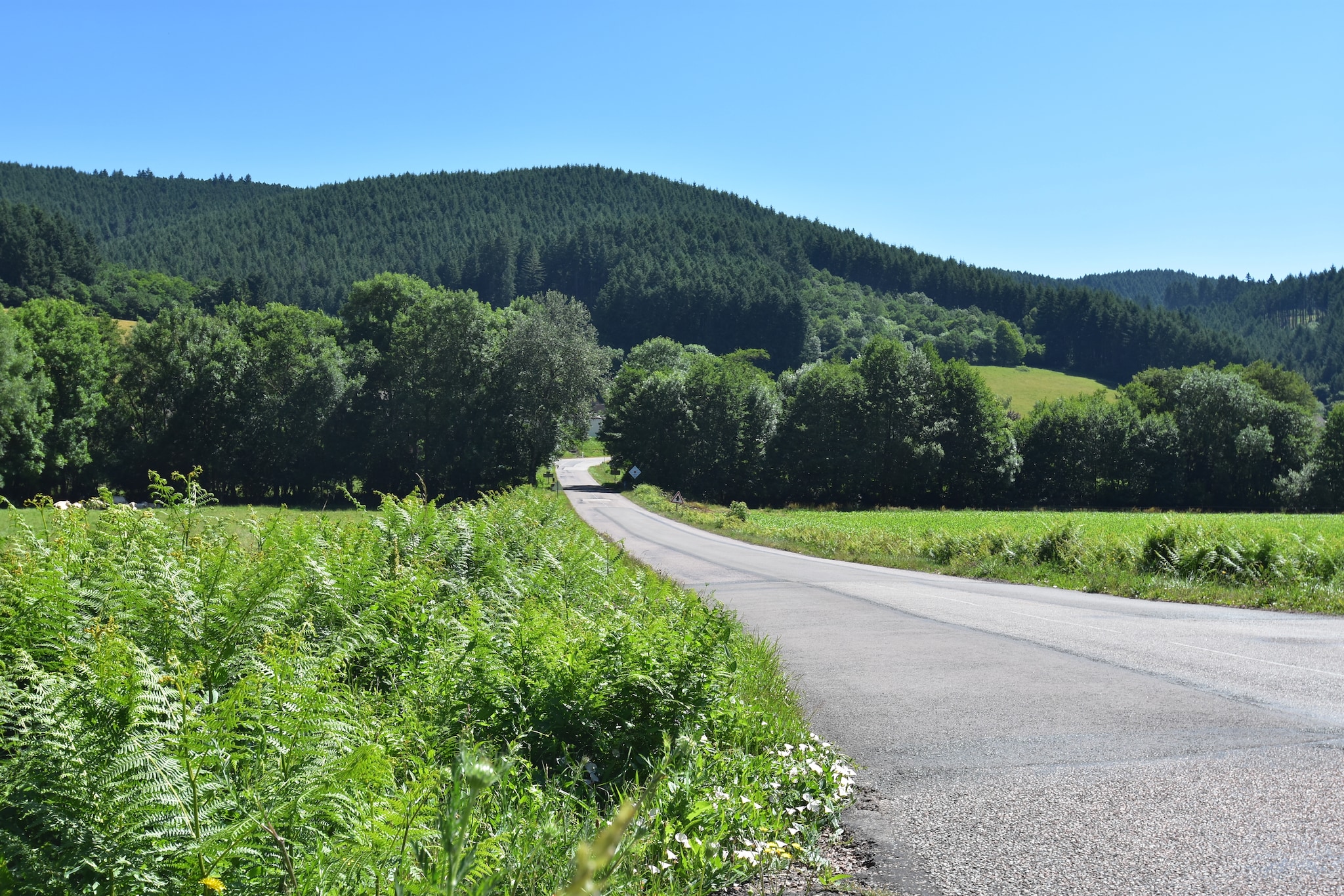 Area Summer20 K M