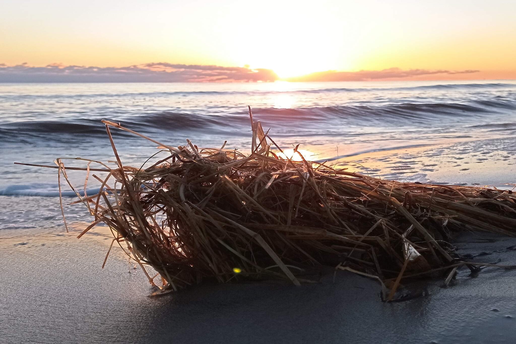 7 person holiday home in Hals-By Traum-Water view