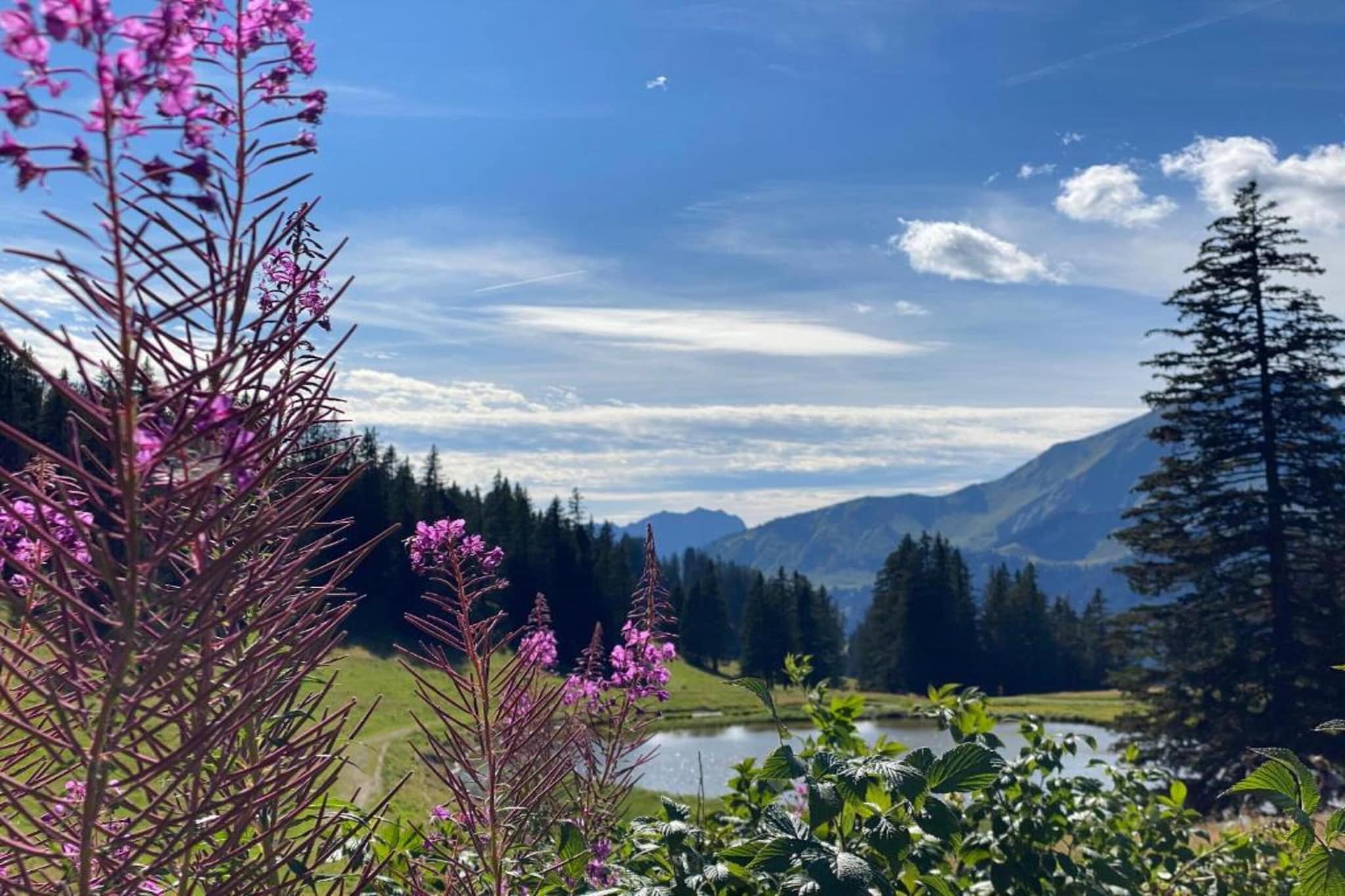 Les Fermes de Chatel 2-Gebieden zomer 20km