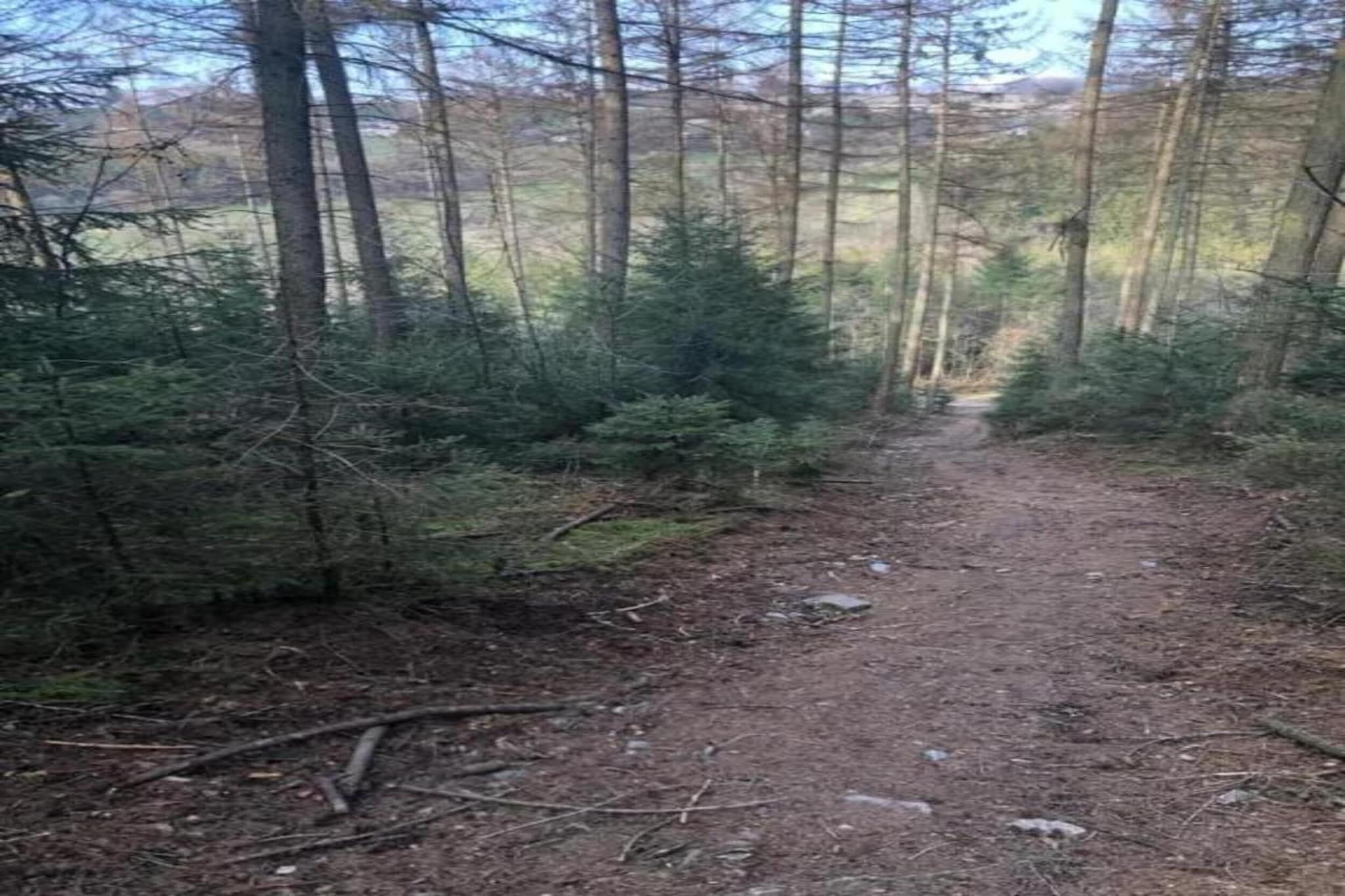 Willingen-Gebieden zomer 20km