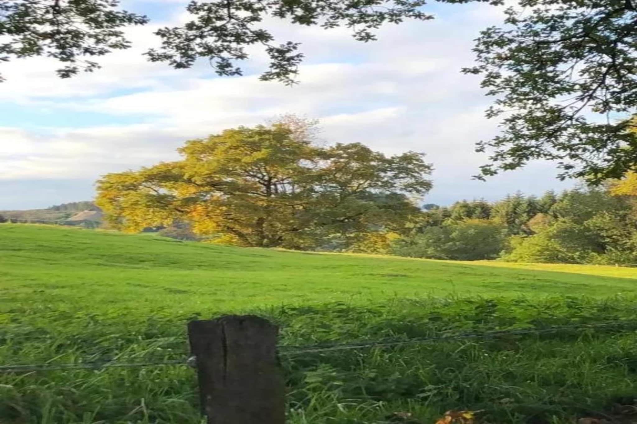 Willingen-Gebieden zomer 20km