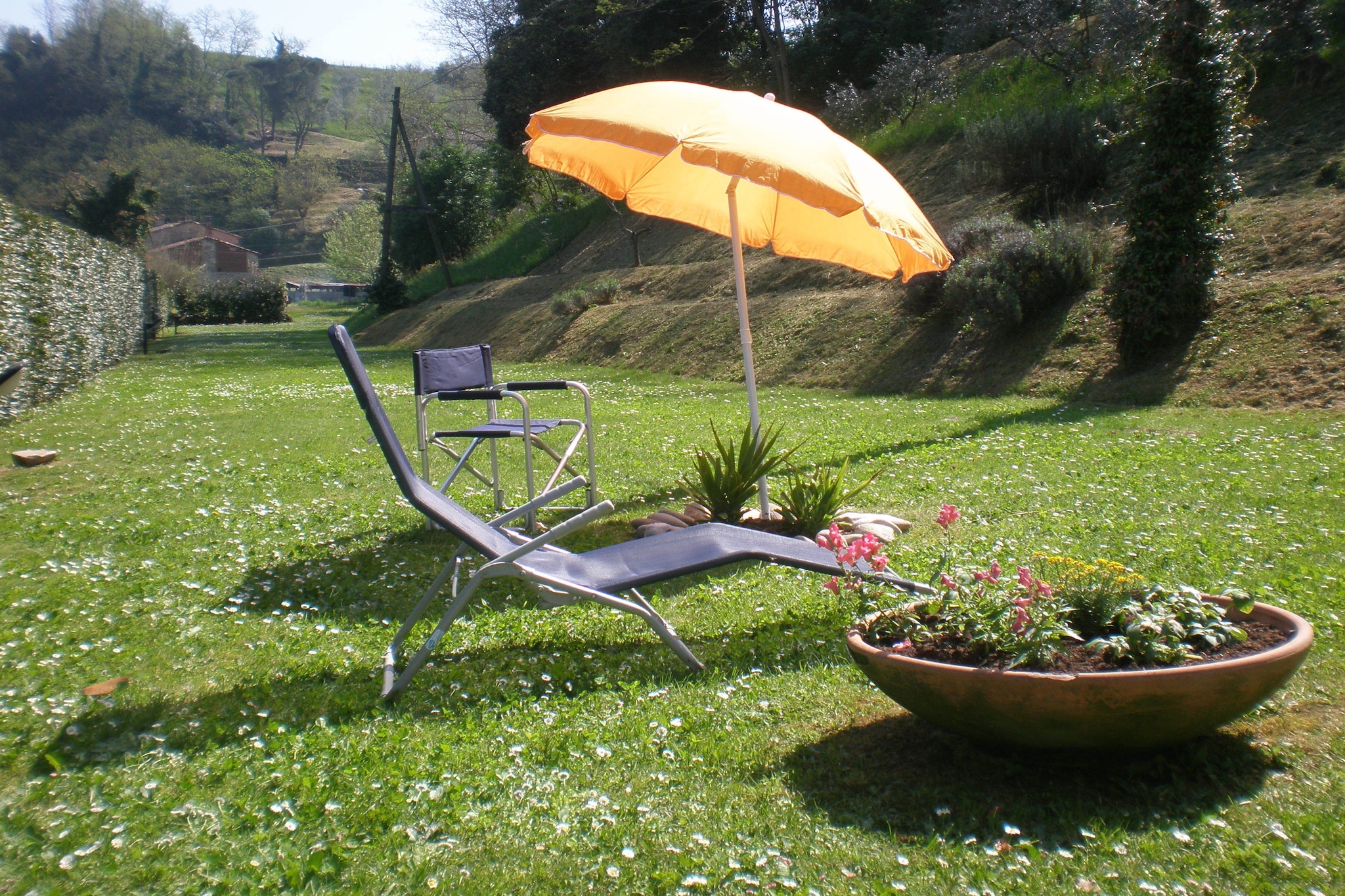Garden Summer
