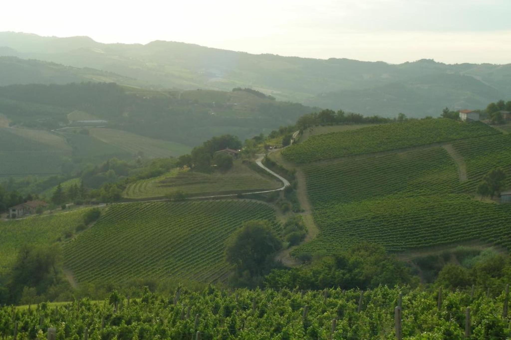 Appartamento Le Rondini-Gebieden zomer 5km
