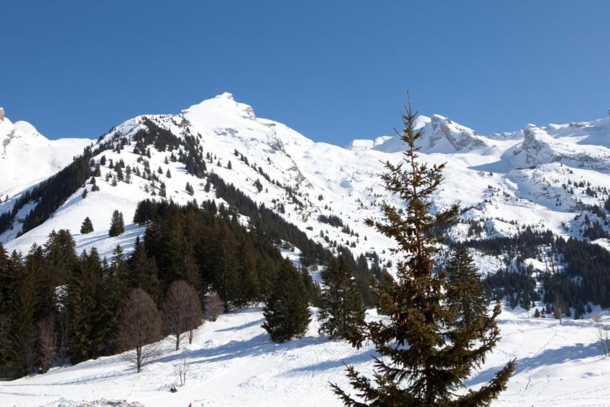 Résidence Prestige Mendi Alde 3-Gebied winter 20km