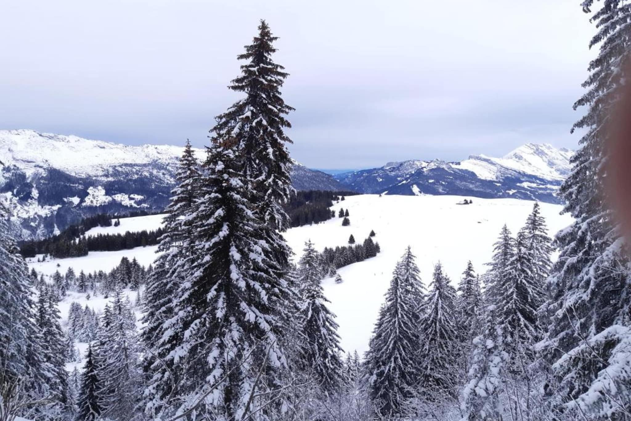 Résidence Prestige Mendi Alde 3-Gebied winter 20km