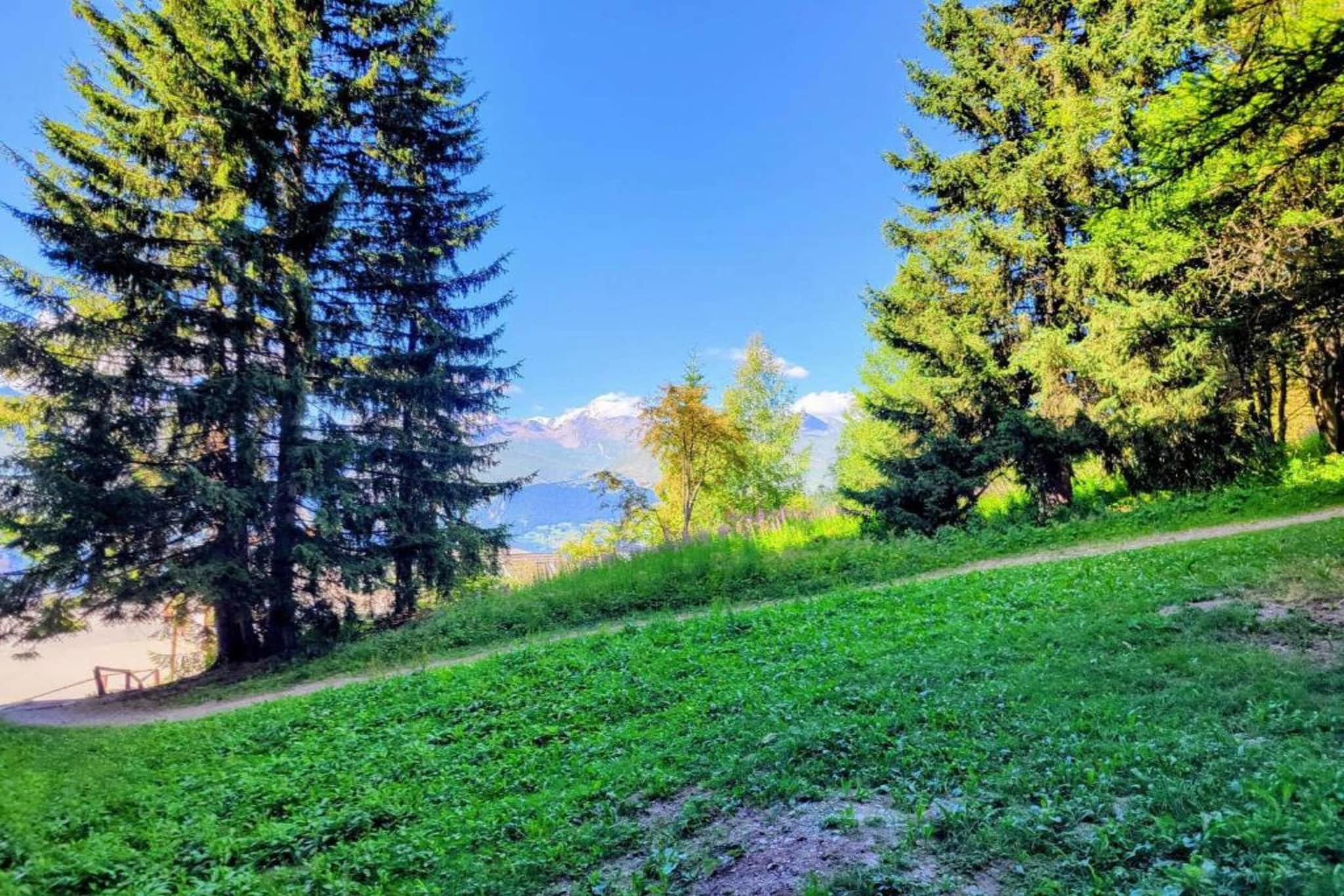 Appart'Hotel Eden 1-Gebieden zomer 20km
