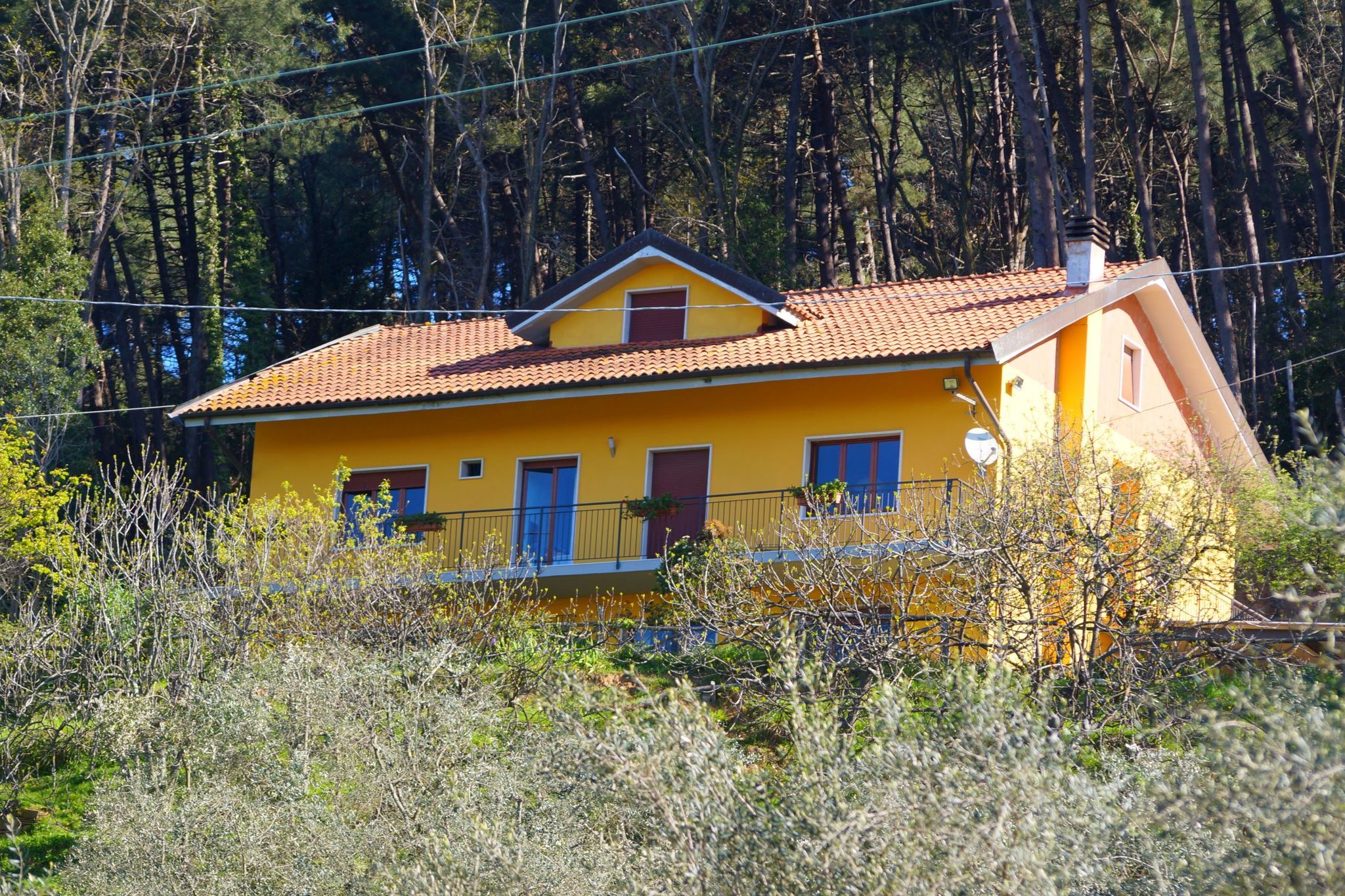 Modernes Ferienhaus in Pescia, Toskana mit Swimmingpool