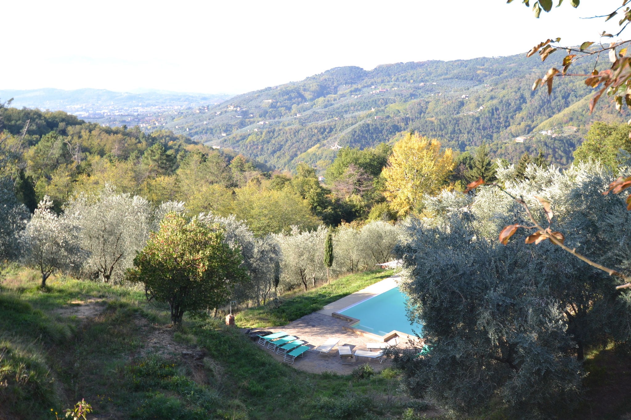 Modern Holiday Home in Pescia Tuscany with Swimming Pool