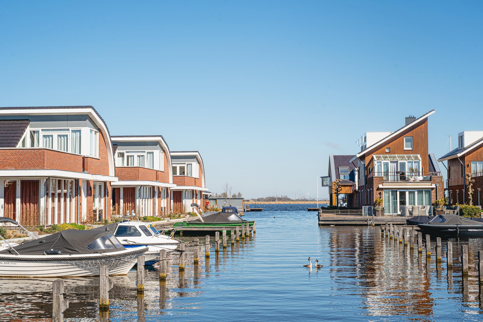 De ZeeParel Red Lobster-Zones été à 1 km