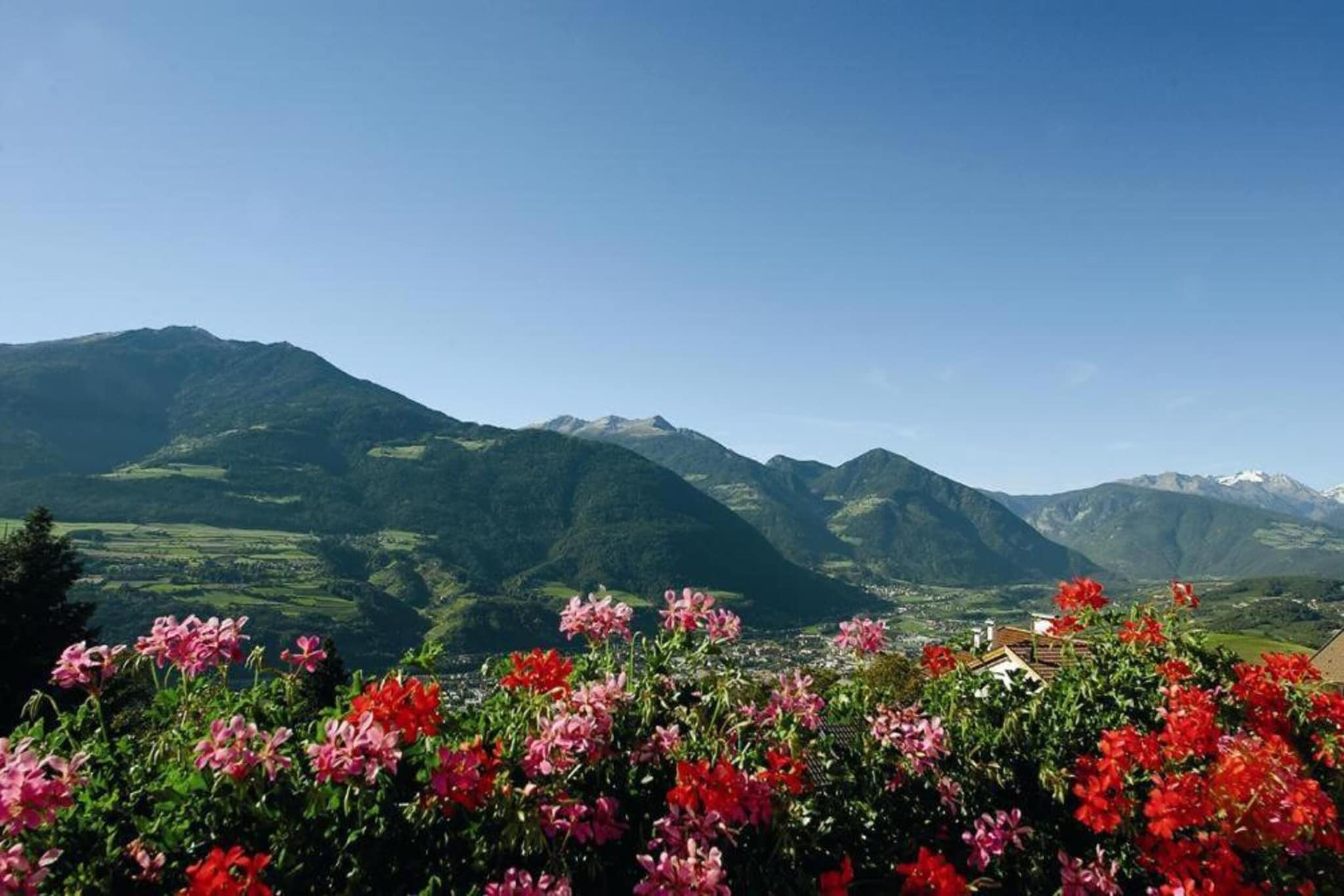 Rosalpina-Areas summer 20km