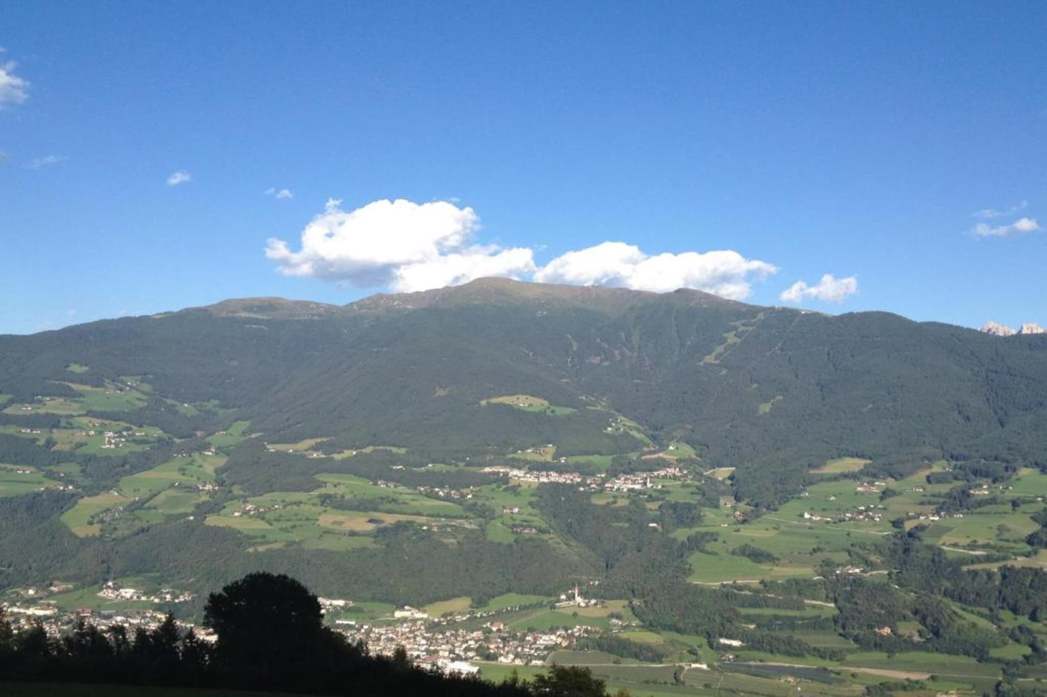 Rosalpina-Areas summer 20km