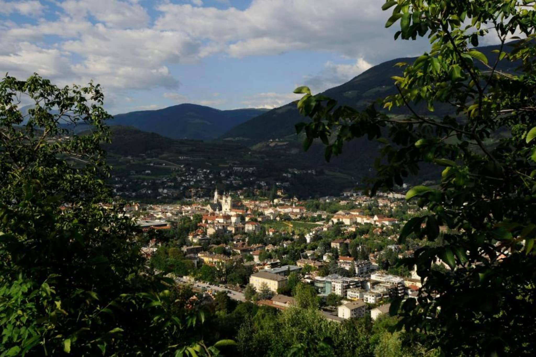 Rosalpina-Areas summer 20km