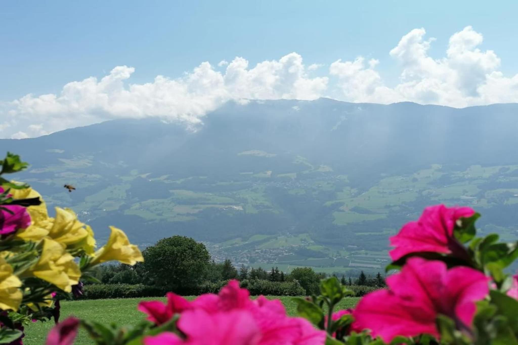 Rosalpina-Areas summer 20km
