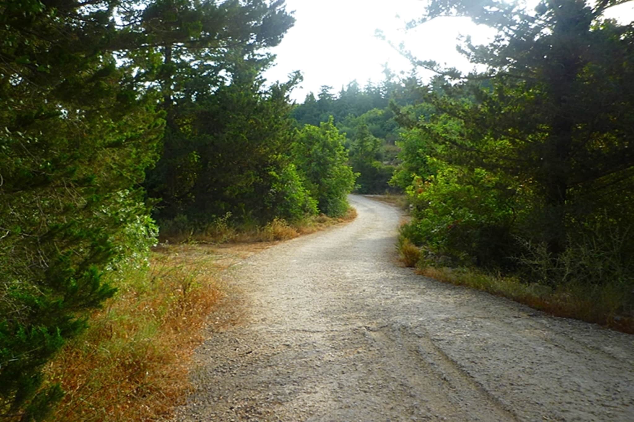 Heliopetra Studio-Areas within 5km in summer