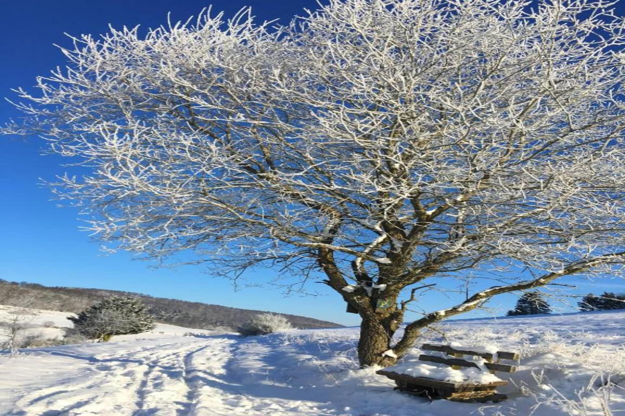 Sauerland-Gebied winter 20km