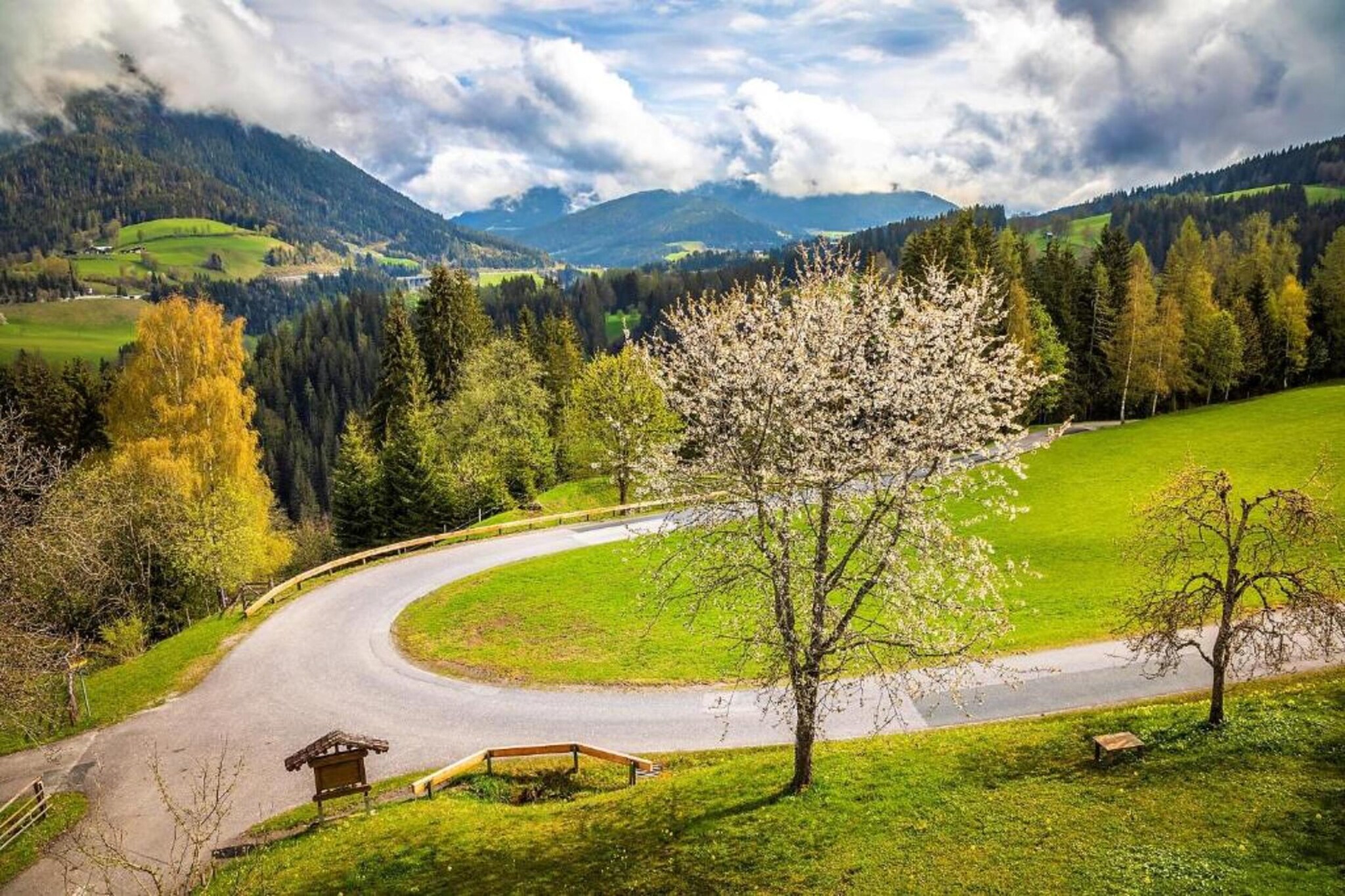 Oberkranzhof-Gebieden zomer 20km
