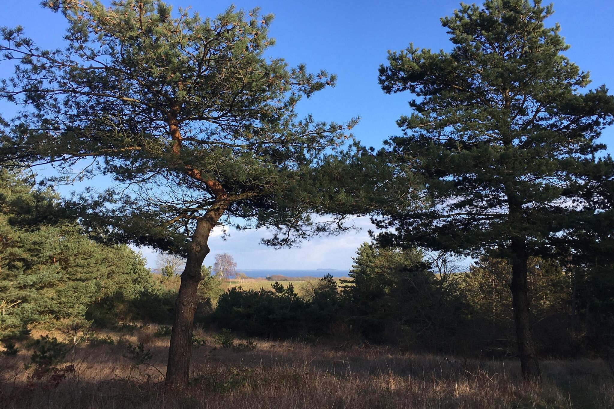 16 person holiday home in Vejby