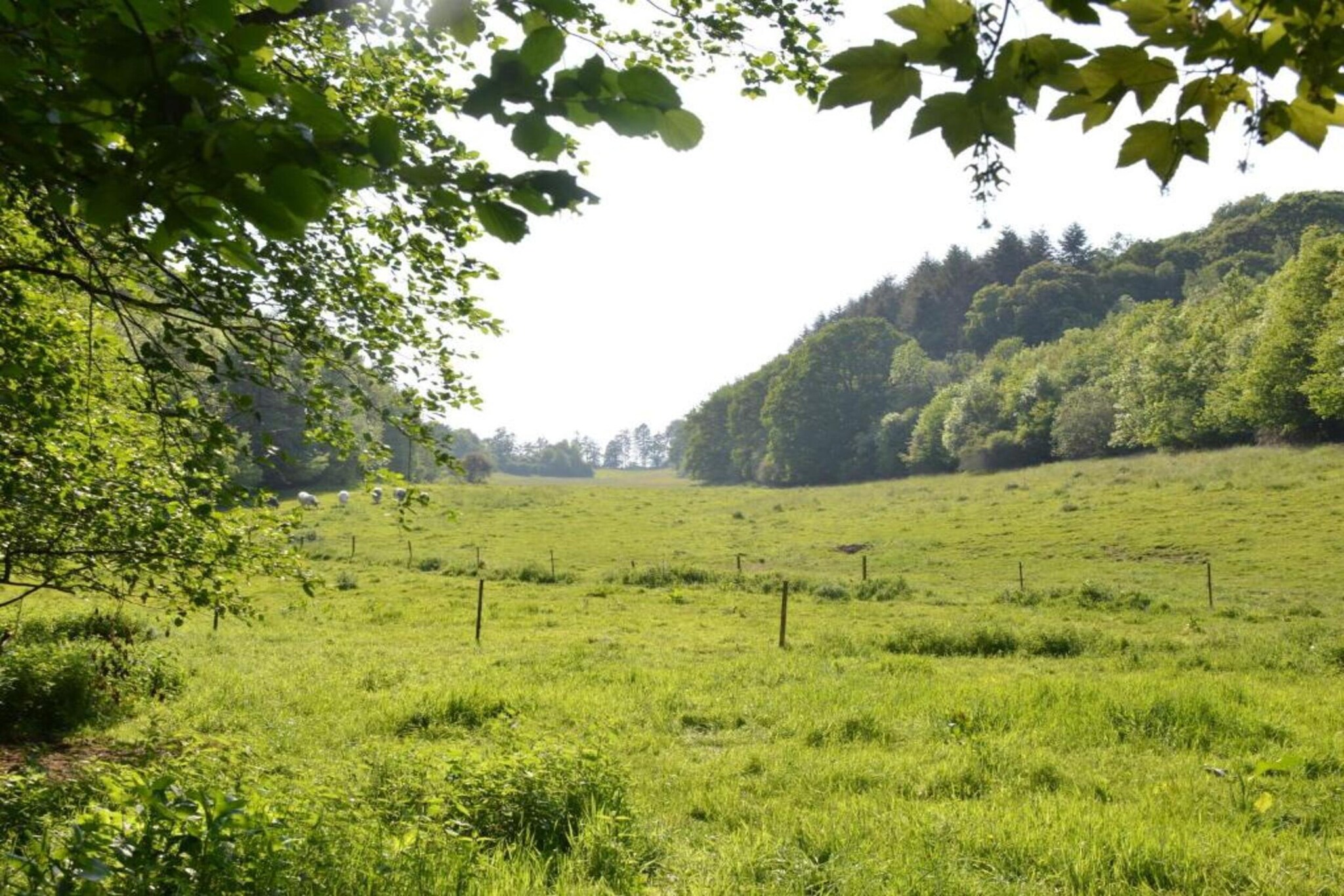 Le Grand Moulin de Denée-Gebieden zomer 5km
