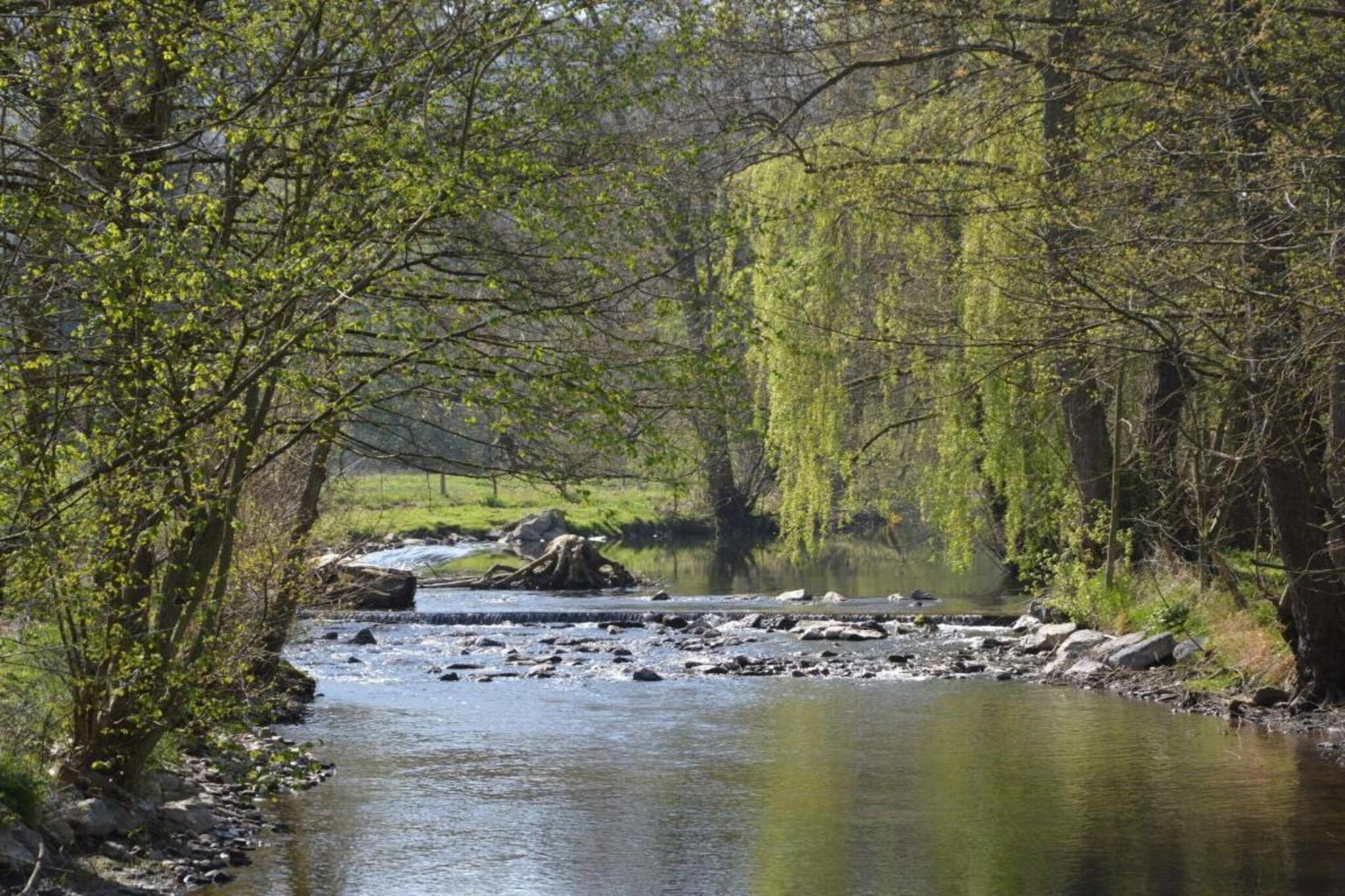 Le Grand Moulin de Denée-Gebieden zomer 5km