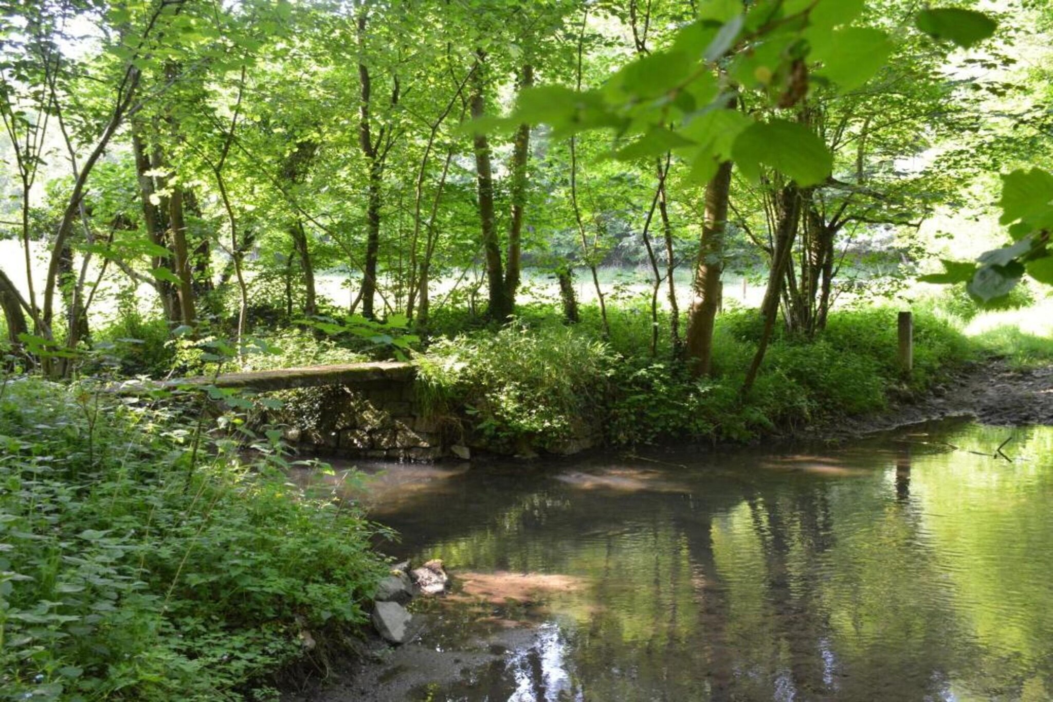 Le Grand Moulin de Denée-Gebieden zomer 5km