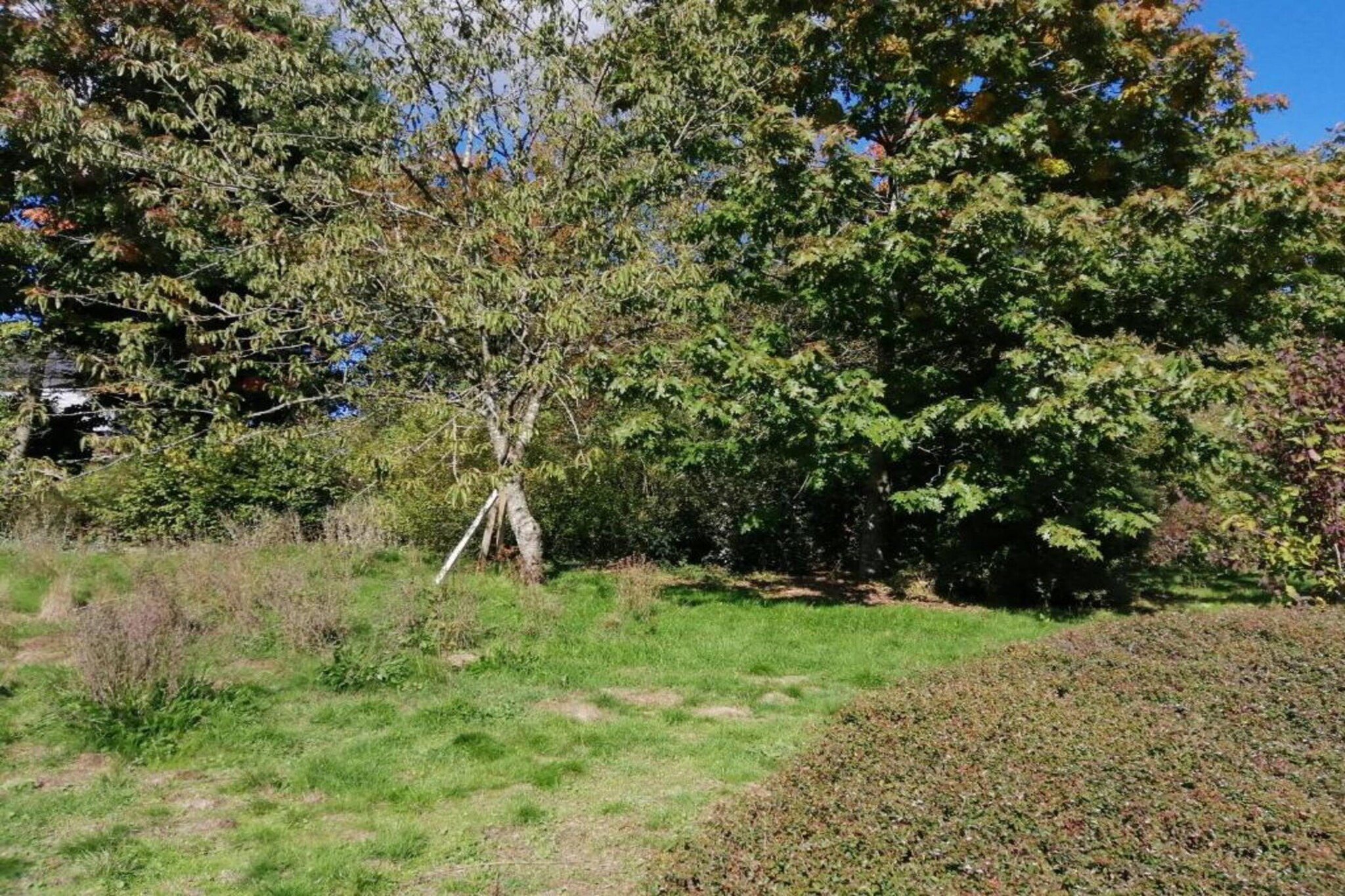 Le Grand Moulin de Denée-Gebieden zomer 5km