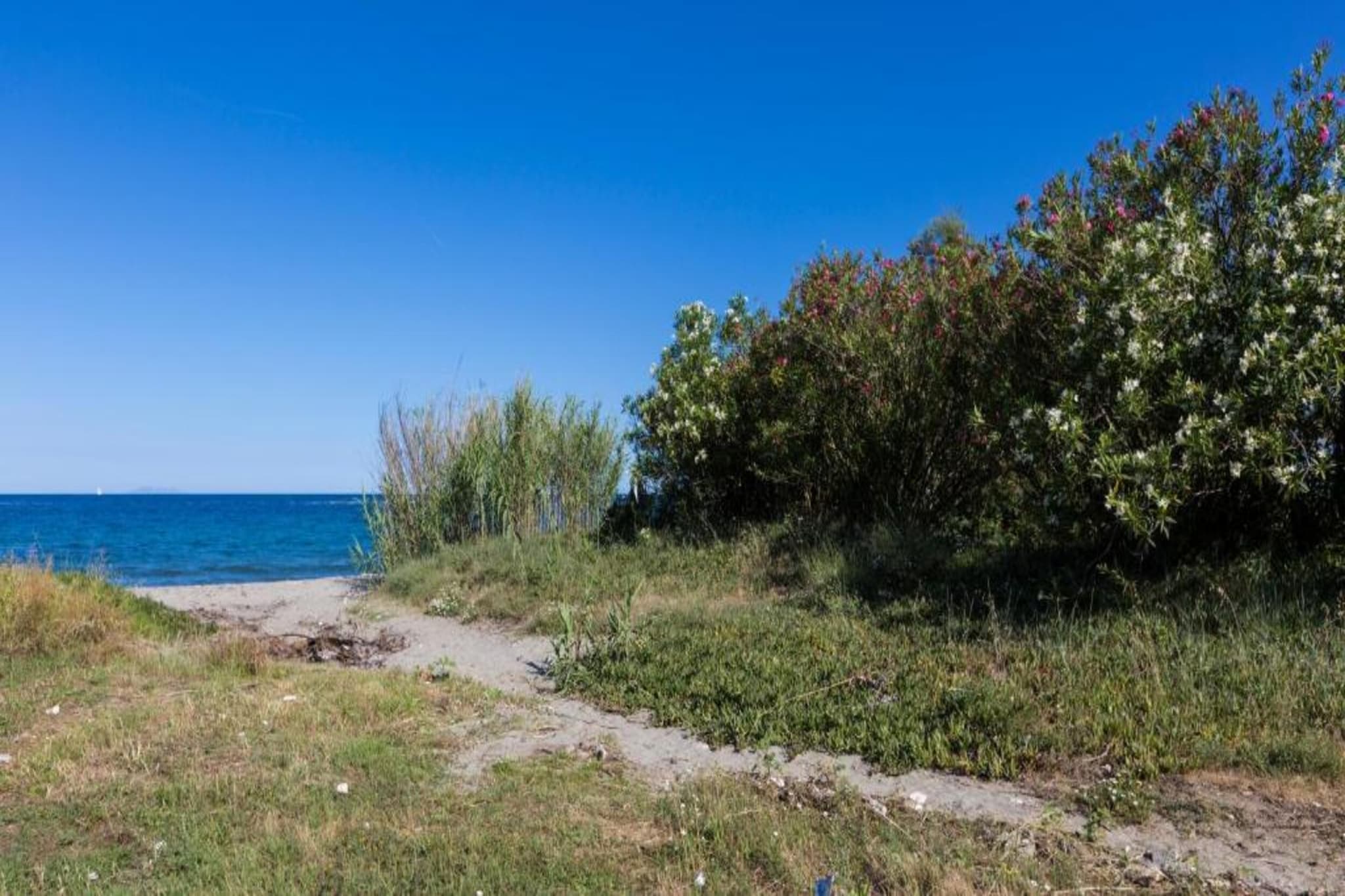 Résidence le Maquis Plage Type 4 - 53m-Gebieden zomer 20km