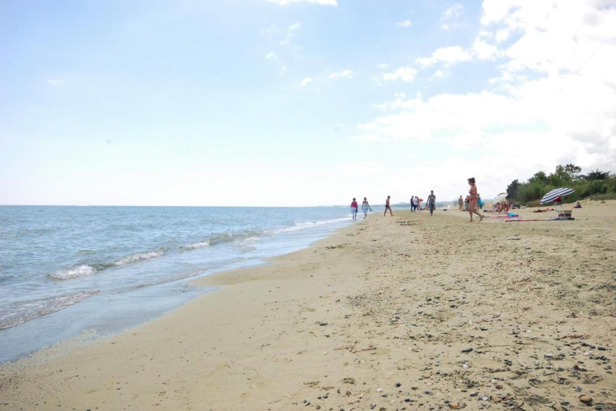 Résidence le Maquis Plage Type 4 - 53m-Gebieden zomer 20km