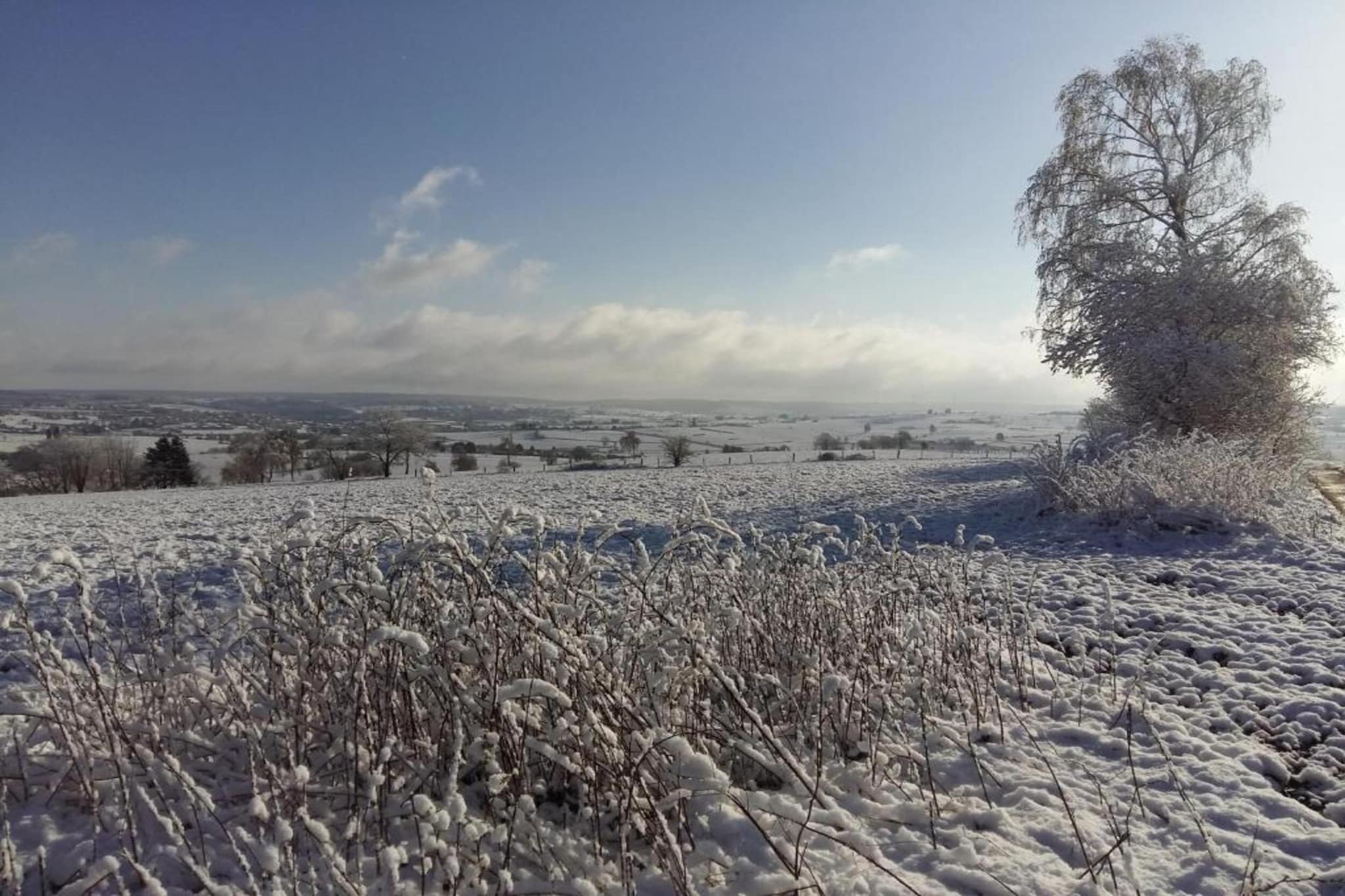 Amelscheid-Gebied winter 5km