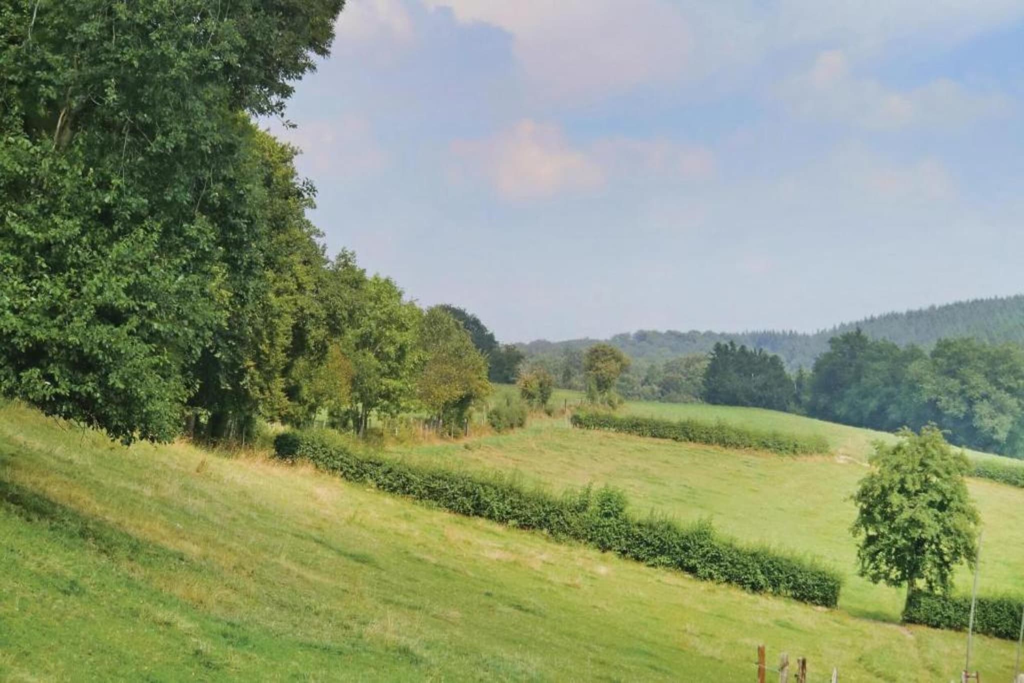 Amelscheid-Gebieden zomer 20km