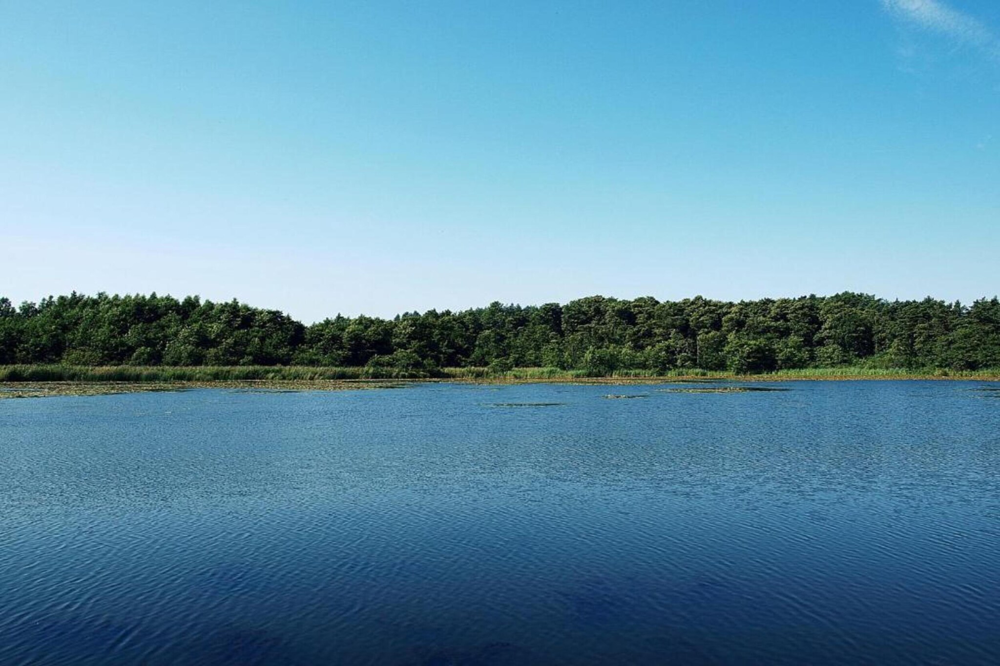 House among beautiful forests-Gebieden zomer 5km