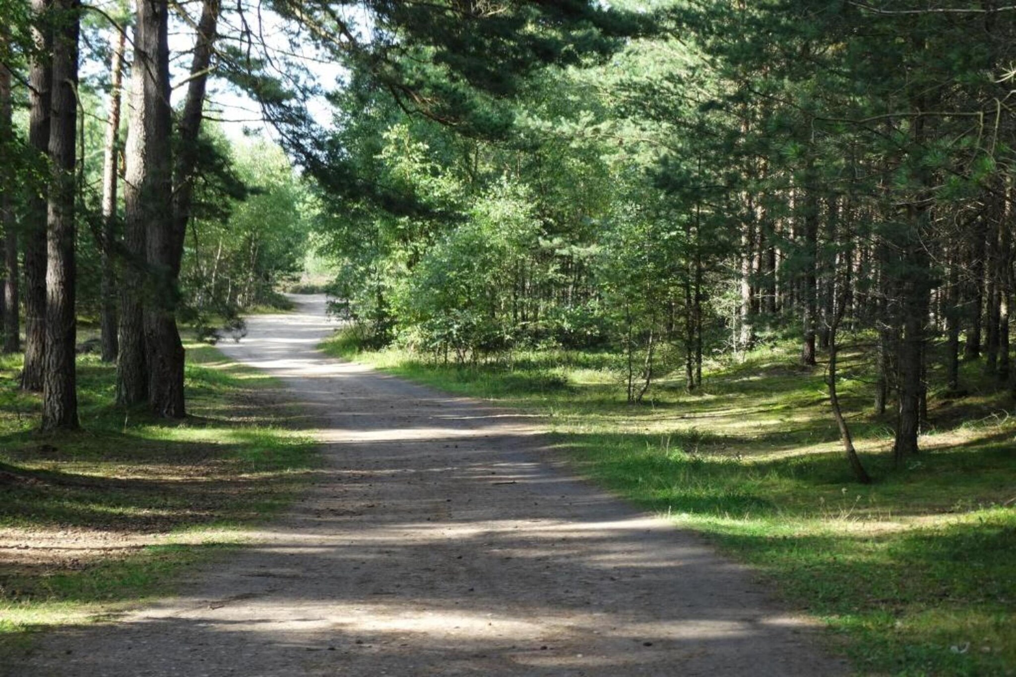 House among beautiful forests-Gebieden zomer 5km
