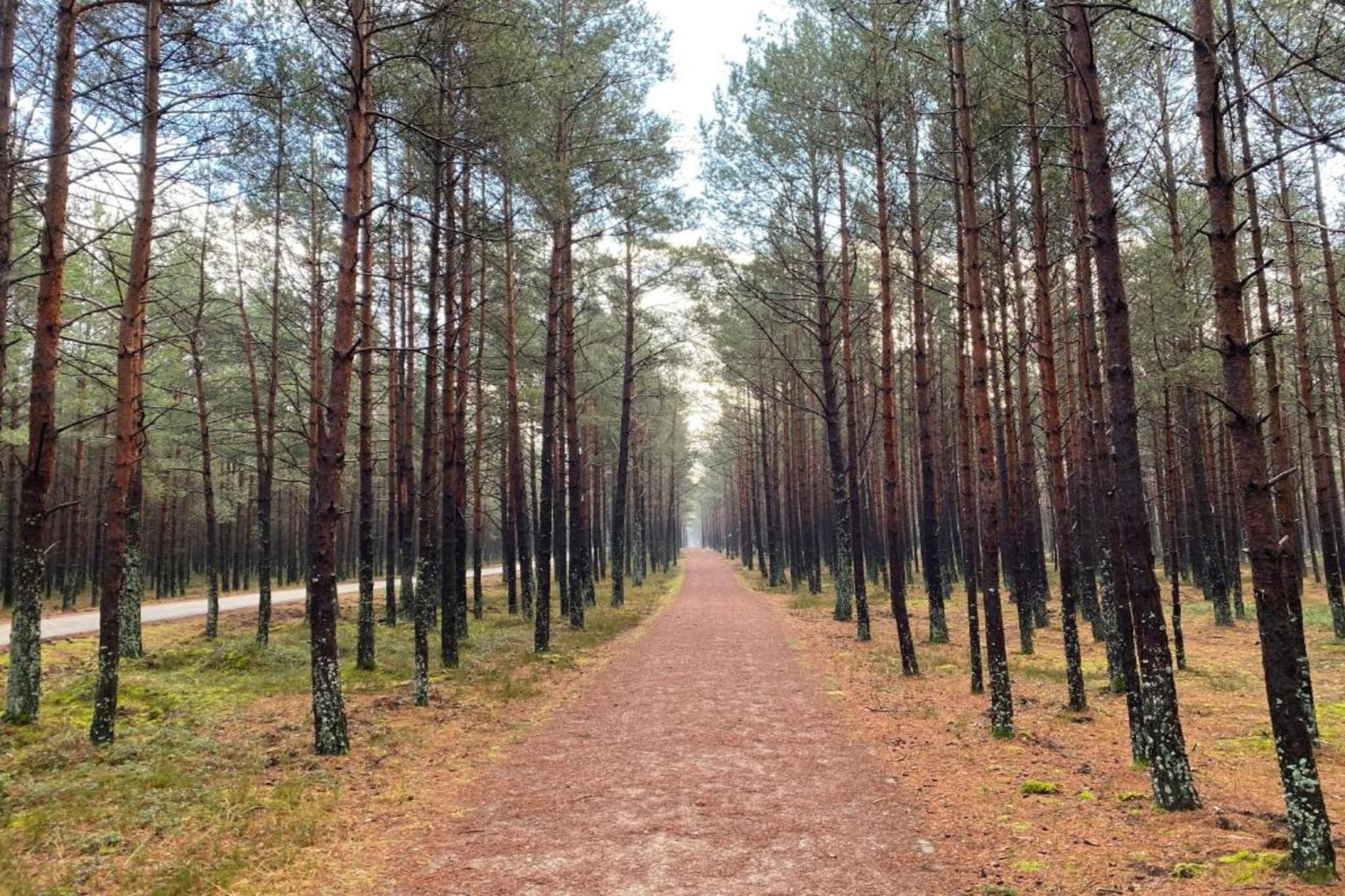 House among beautiful forests-Gebieden zomer 5km