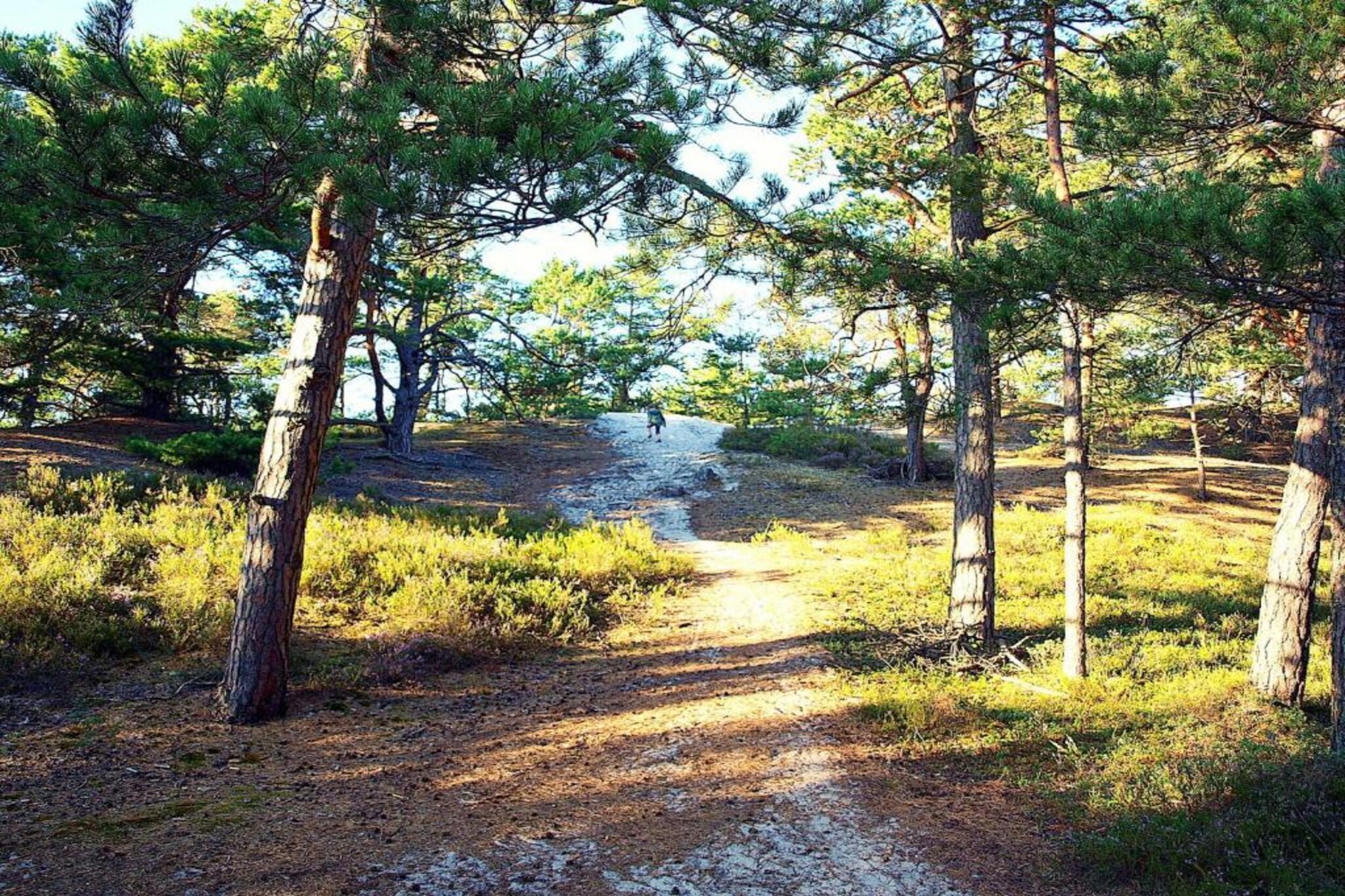 Holiday Home Kopalino-Gebieden zomer 5km