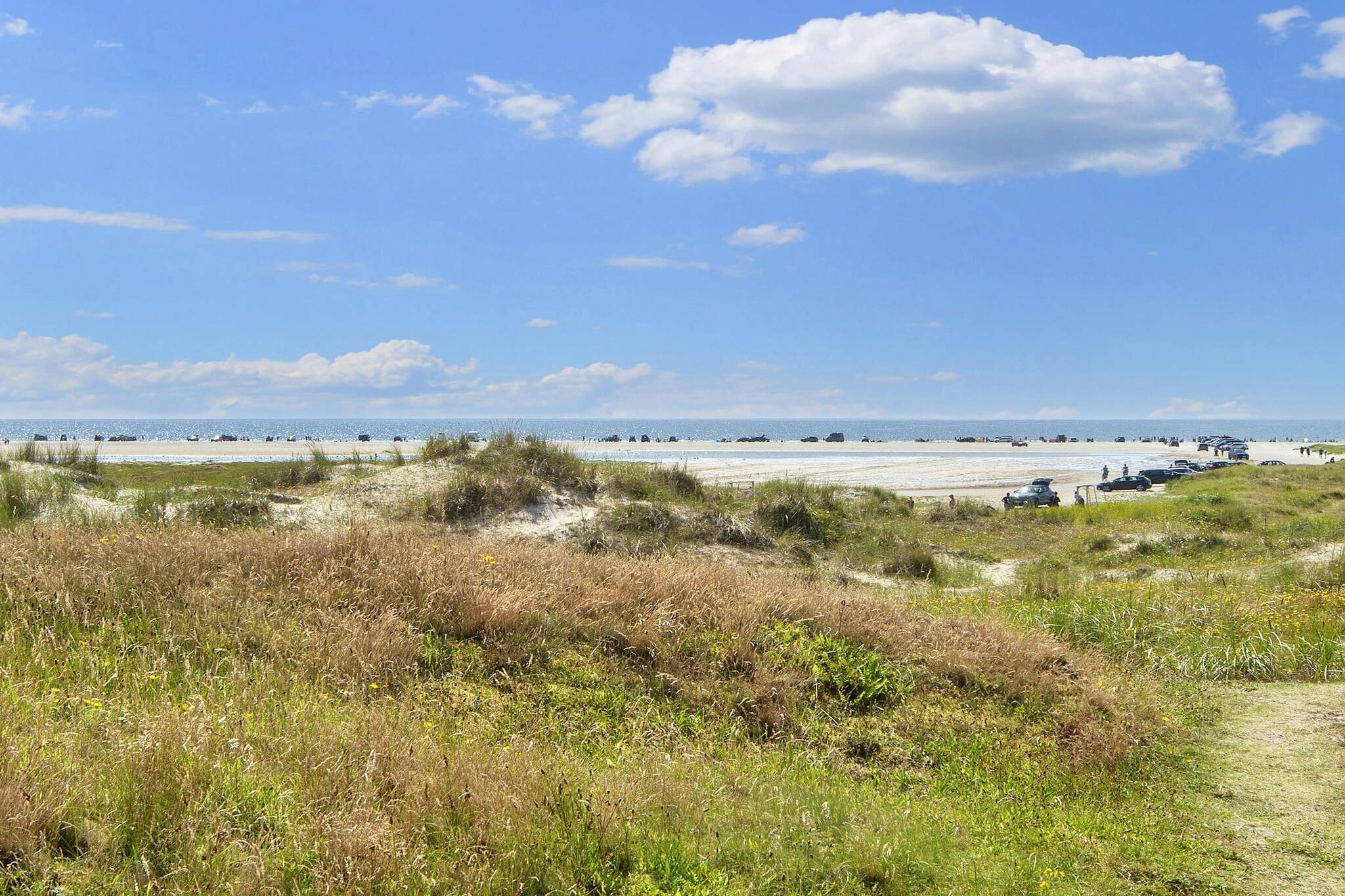 2 room w/nature view-Niet-getagd