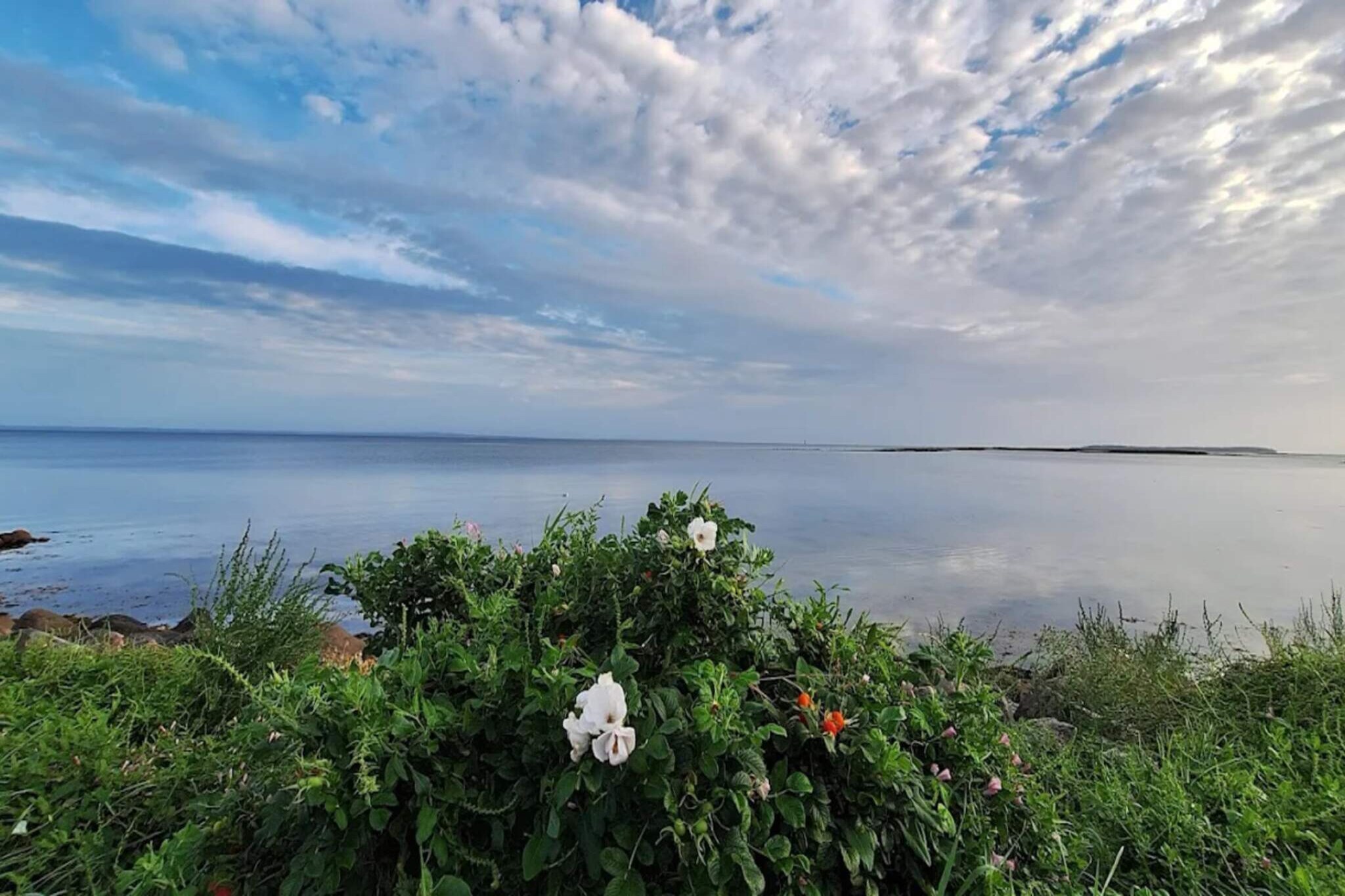 3 room,ground floor - Water view