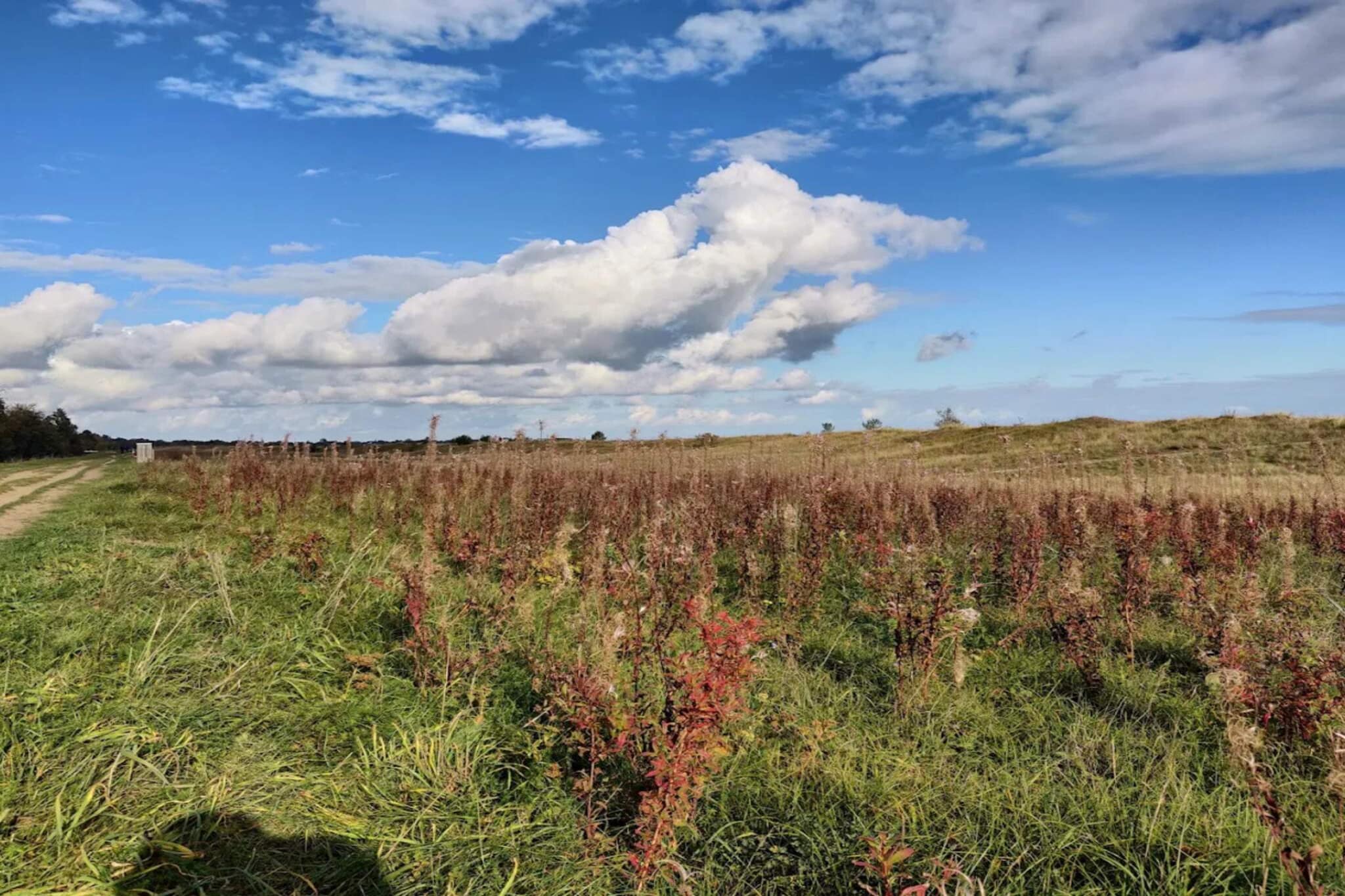 3 room, close to the sea/dike-Untagged