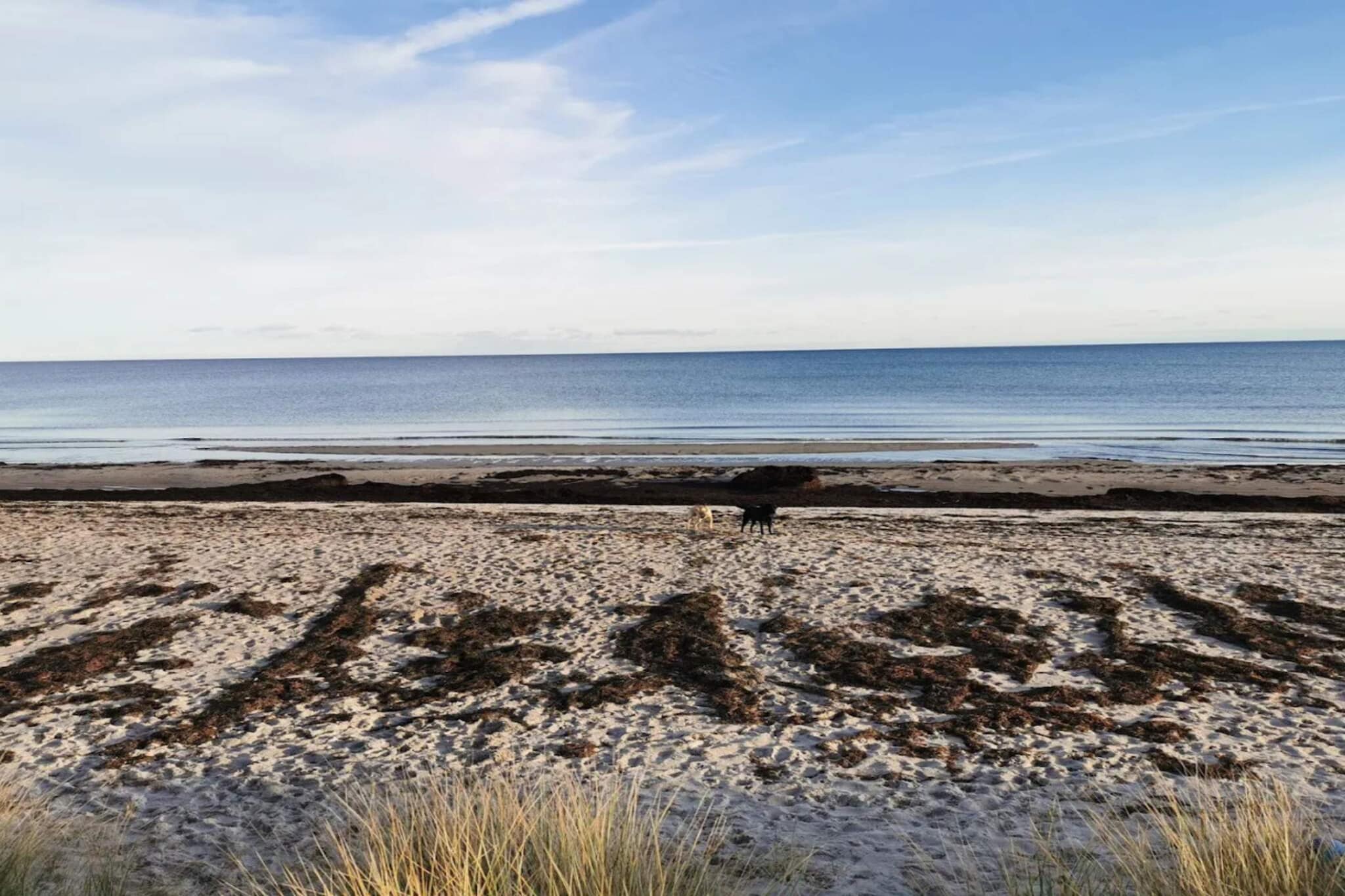 3 room, close to the sea/dike-Water view