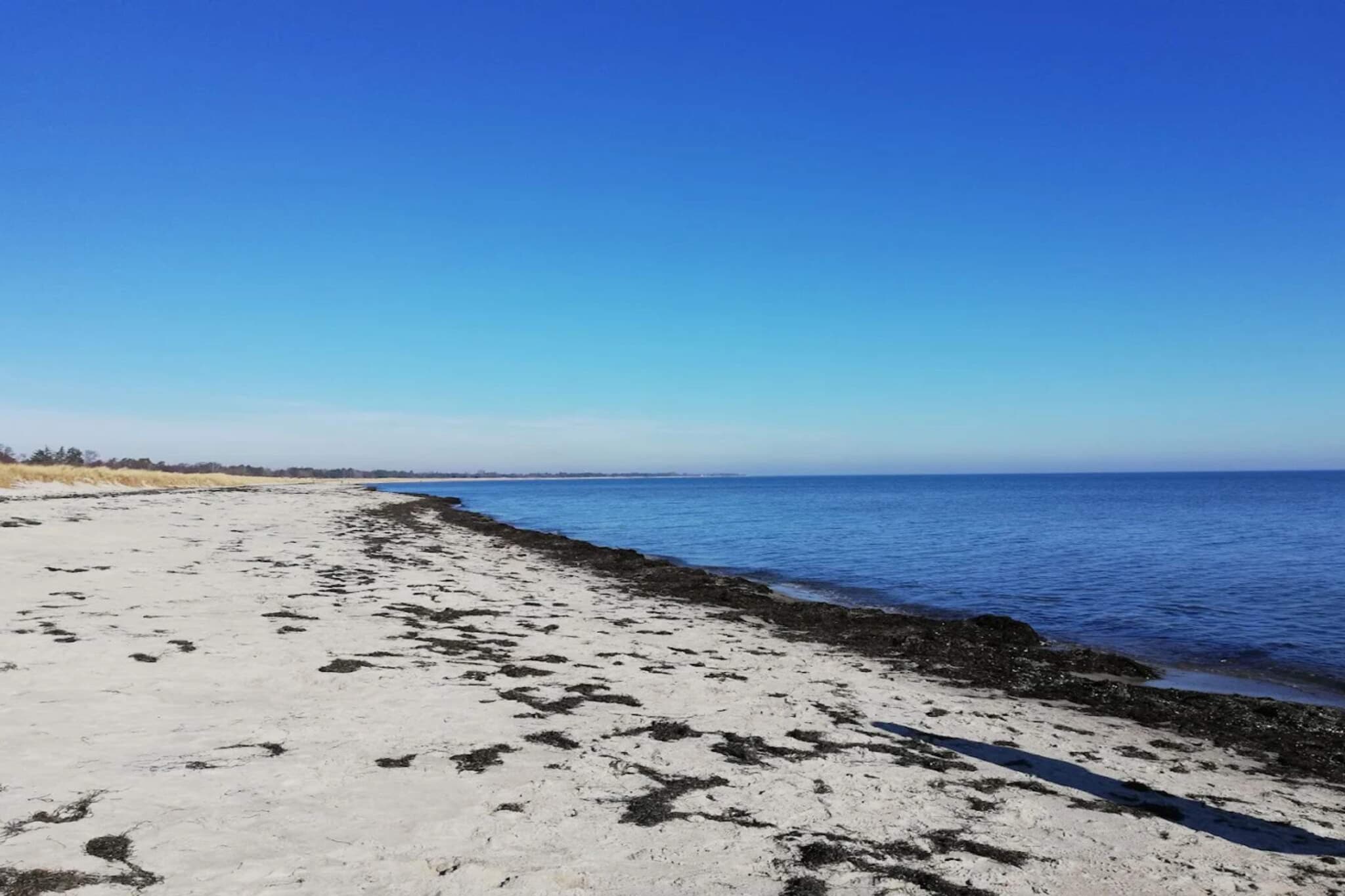 3 room, close to the sea/dike-Water view