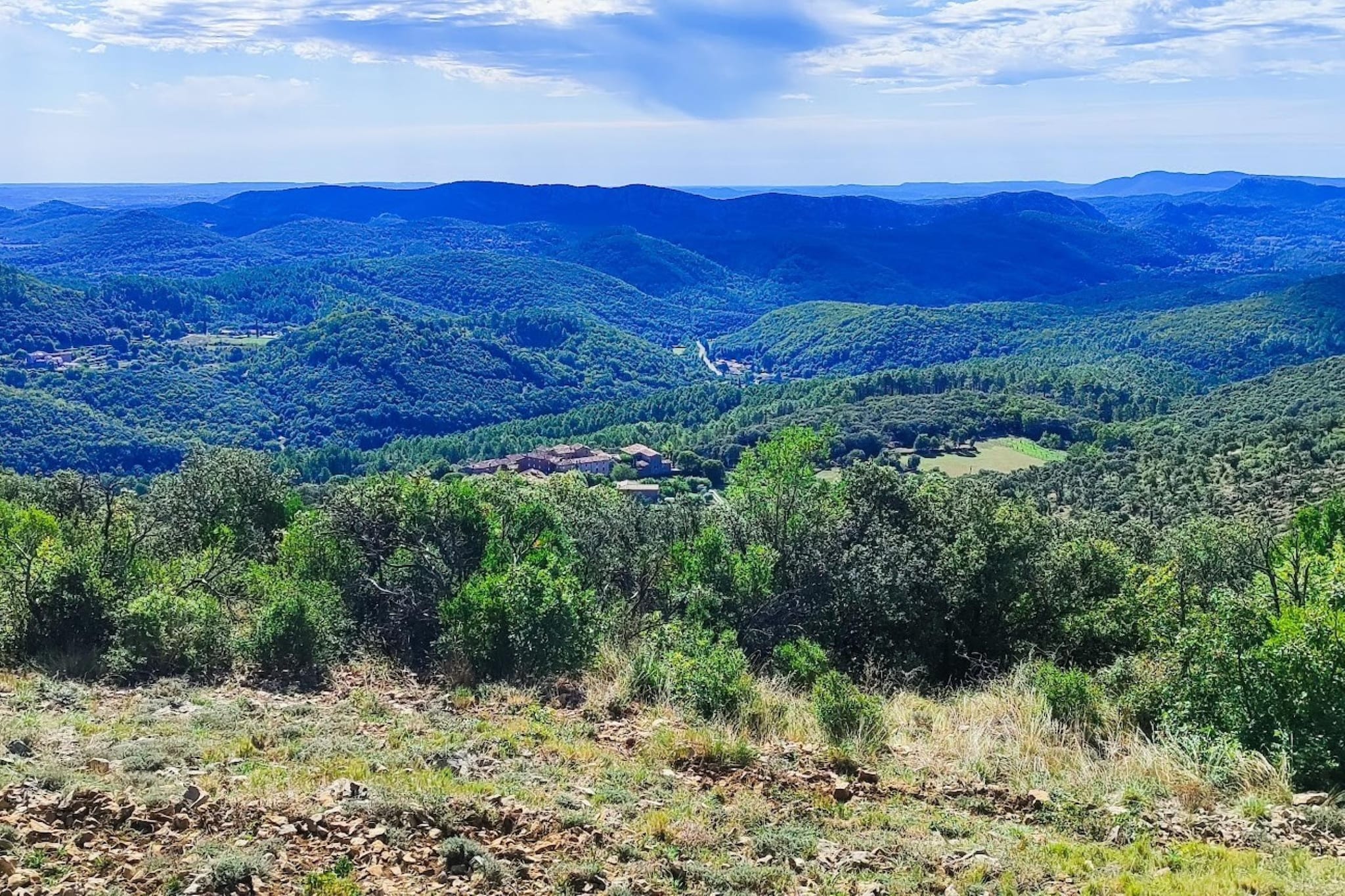Mirabeau-Gebieden zomer 5km