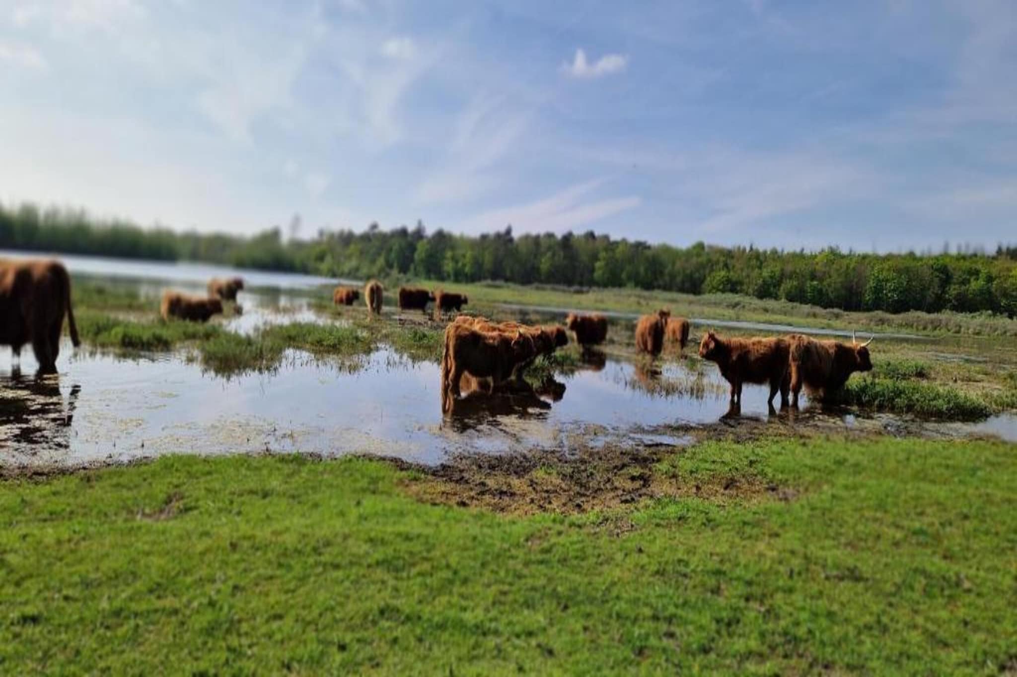 Romantisch Heiloo-Gebieden zomer 20km