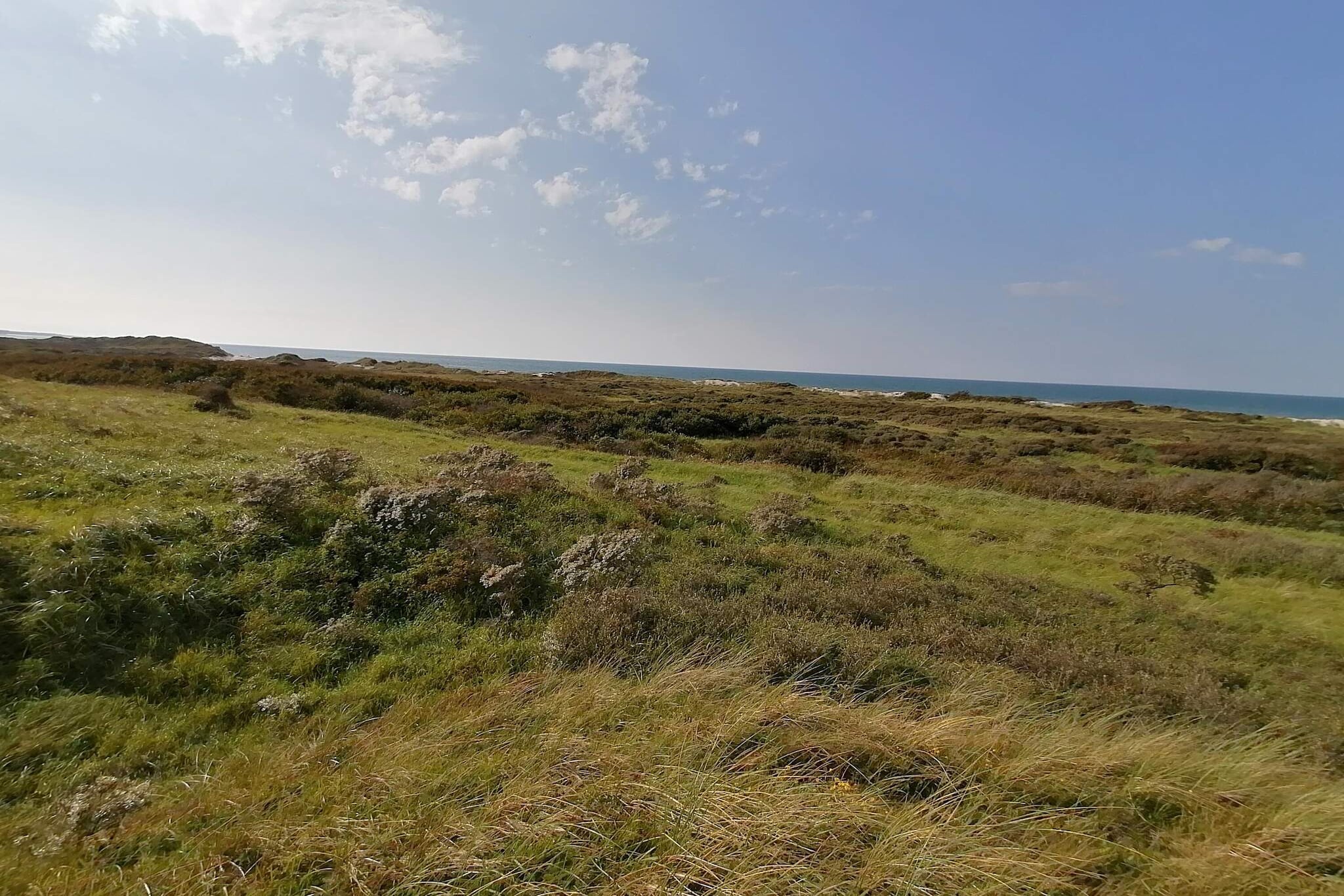 Annex: (2x double bed)\n\nInternet Access DSL, Kitchen, open kitchen(cooker(electric), hood, coffee machine, dishwasher, fridge(+ freezer), freezer(1-59L)), Living/bed room(double folding bed, TV(german television channels), DVD player, radio, CD player, stereo unit, chromecast), bedroom(double bed), bathroom(bathtub or shower, washbasin, toilet), bathroom(washbasin, shower, toilet, washing machine), heating(electric), terrace