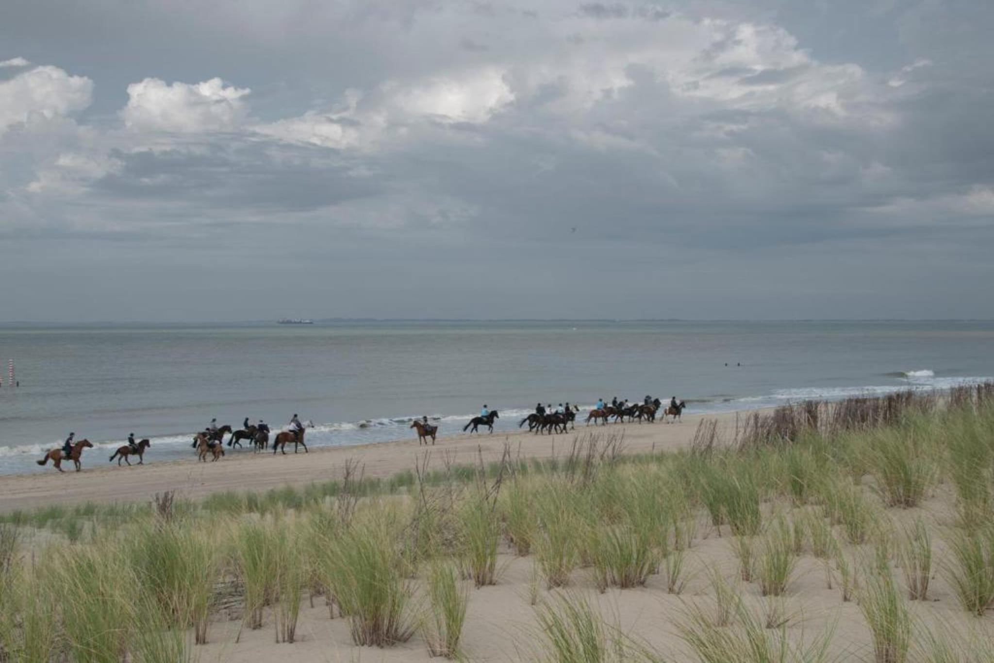 Groot Hof ter Zand-Gebieden zomer 20km