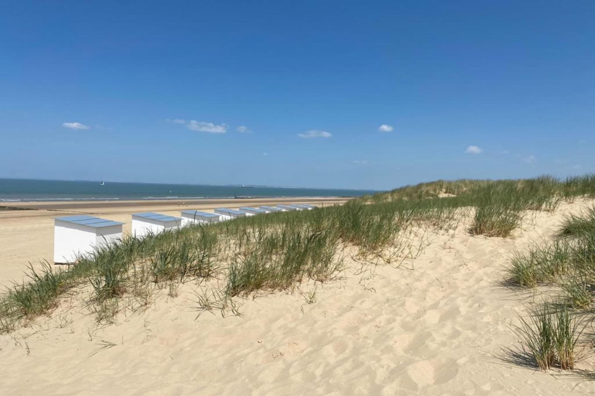 Groot Hof ter Zand-Gebieden zomer 20km