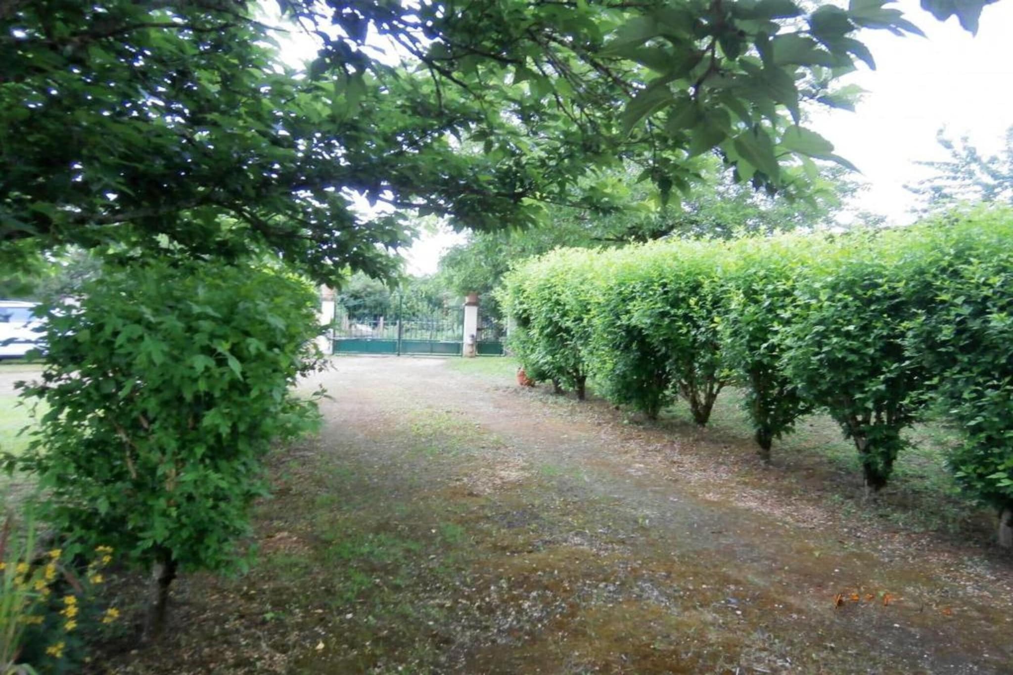 Maison Failte-Gebieden zomer 20km