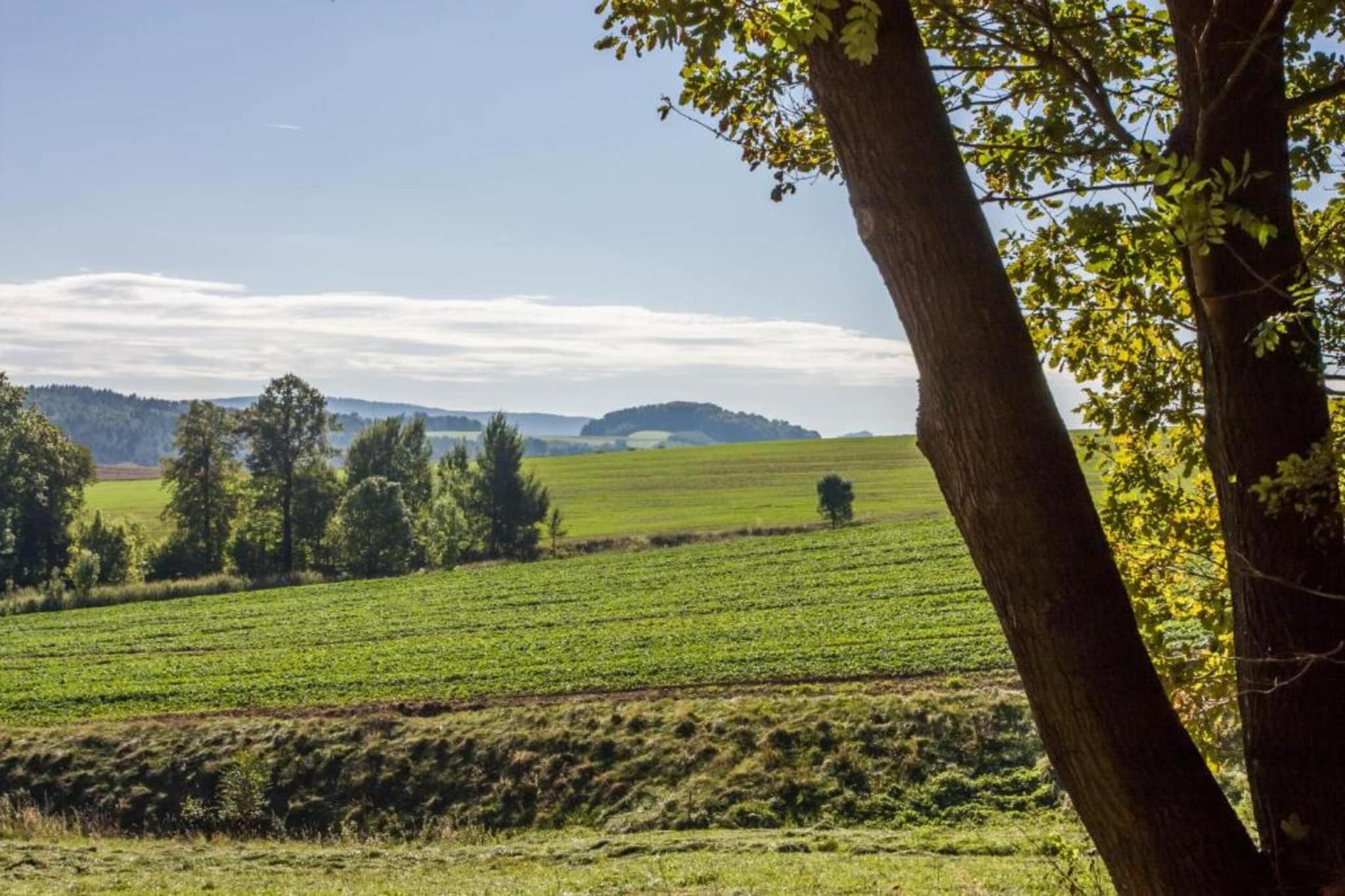 Im Erzgebirge-Gebieden zomer 20km