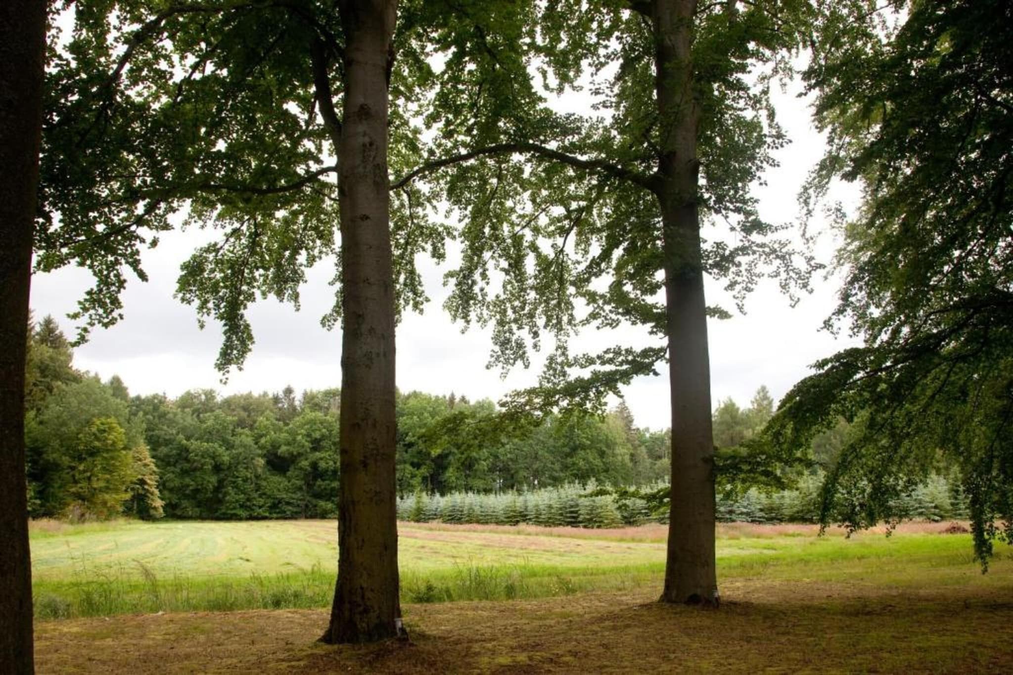 Im Erzgebirge-Gebieden zomer 20km