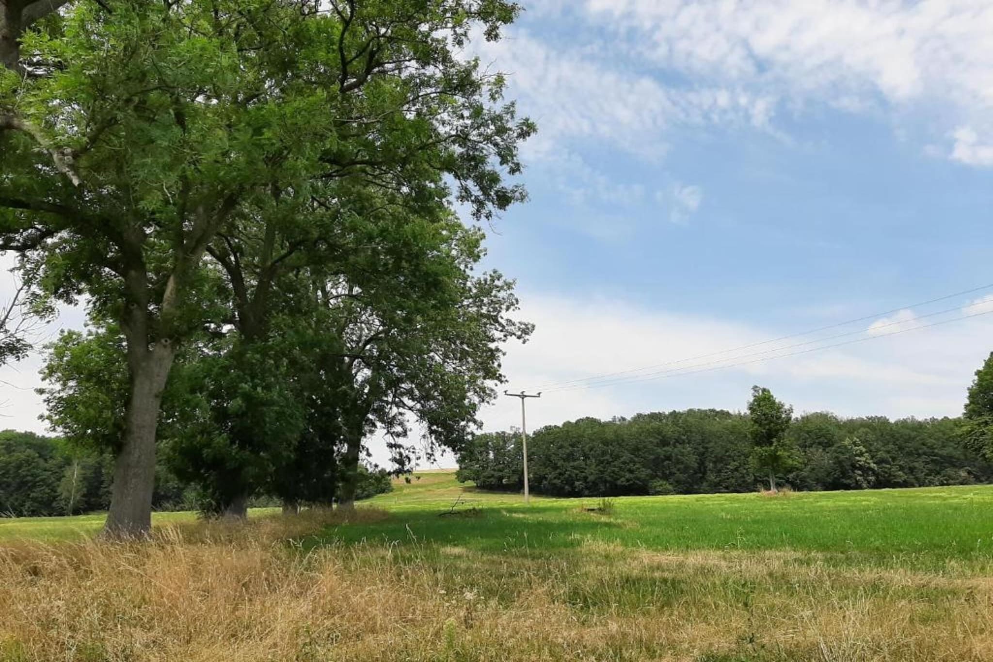 Im Erzgebirge-Gebieden zomer 20km