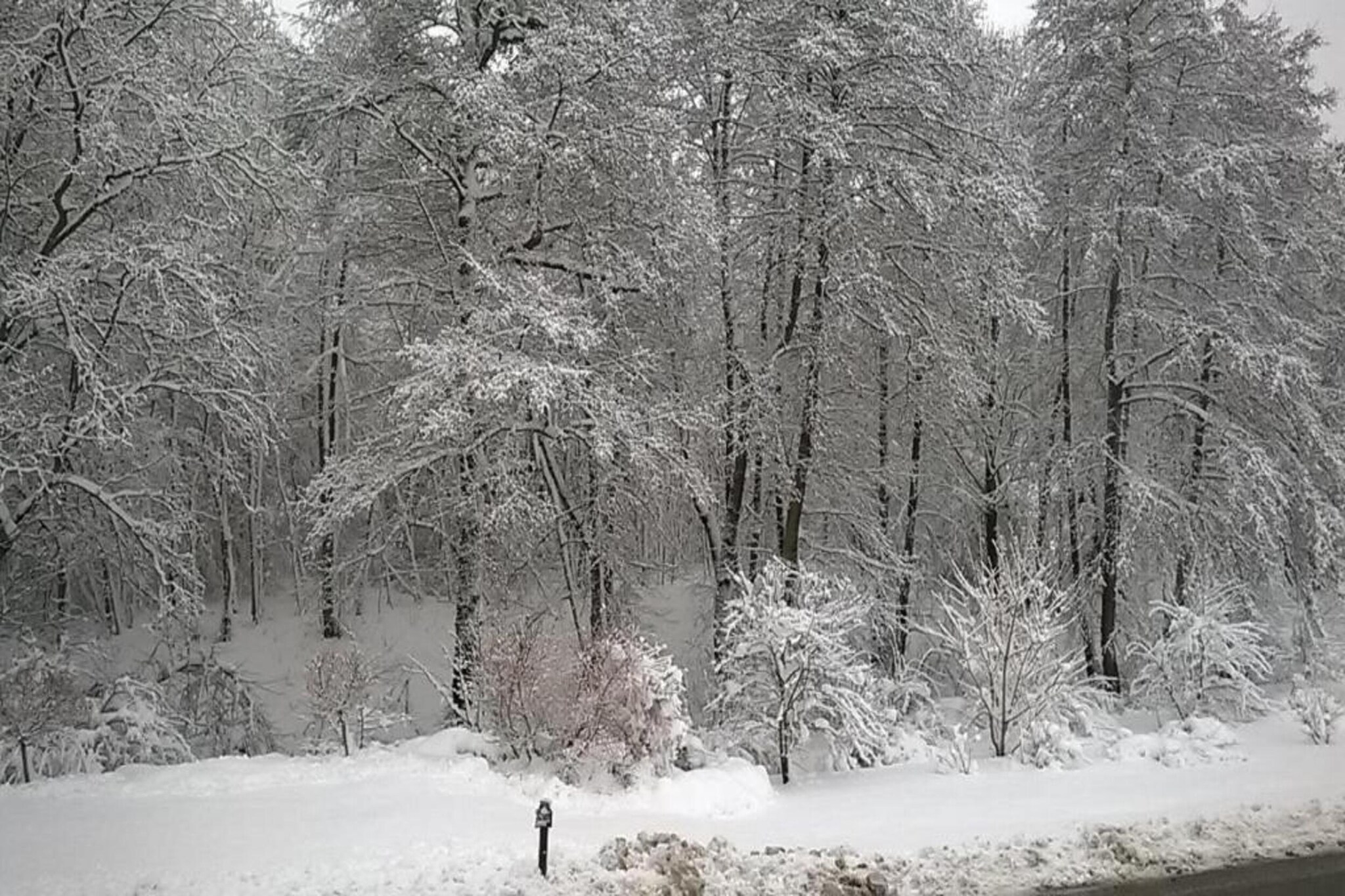 Im Erzgebirge-Gebied winter 20km