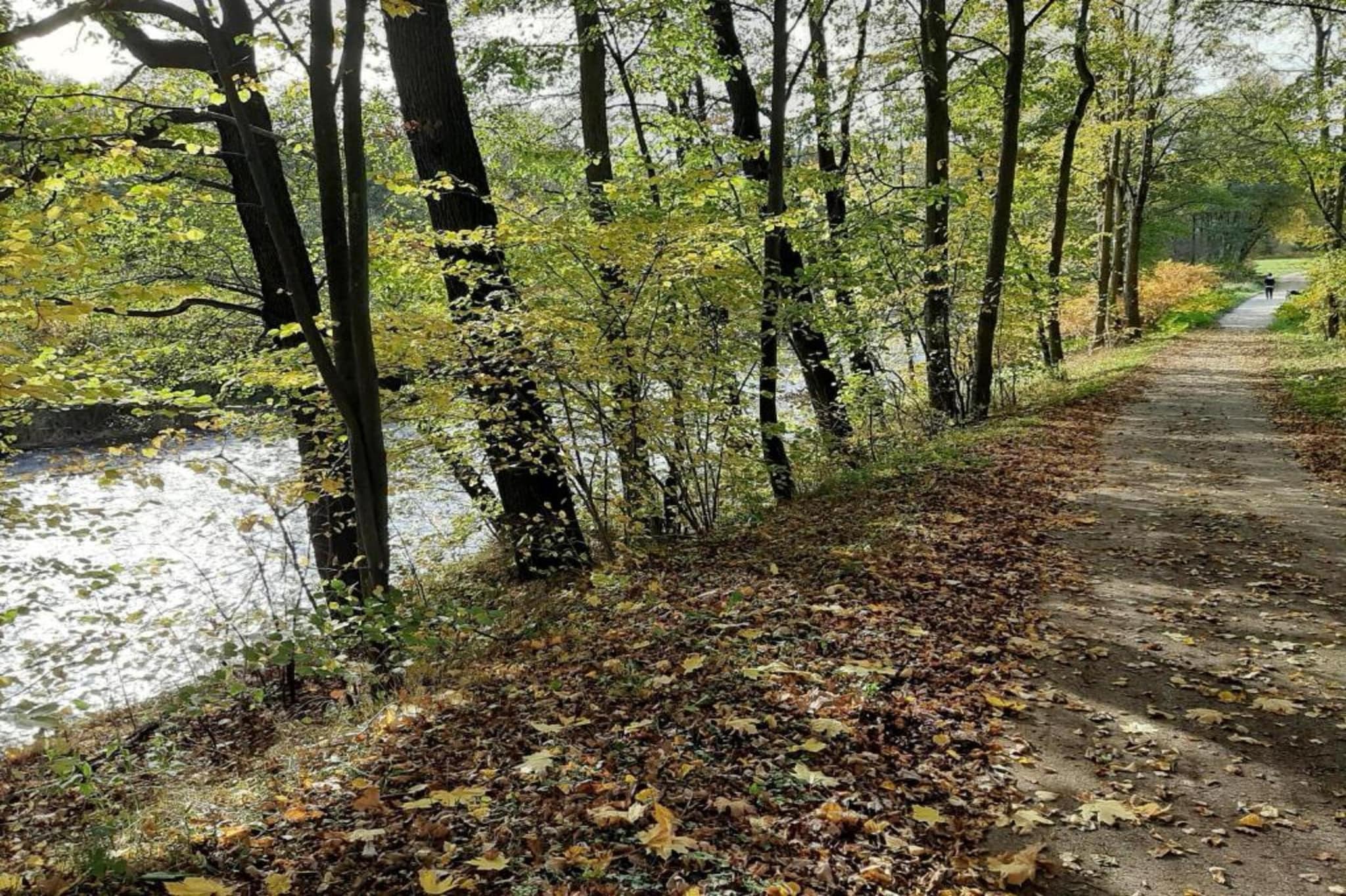 Im Erzgebirge-Gebieden zomer 20km