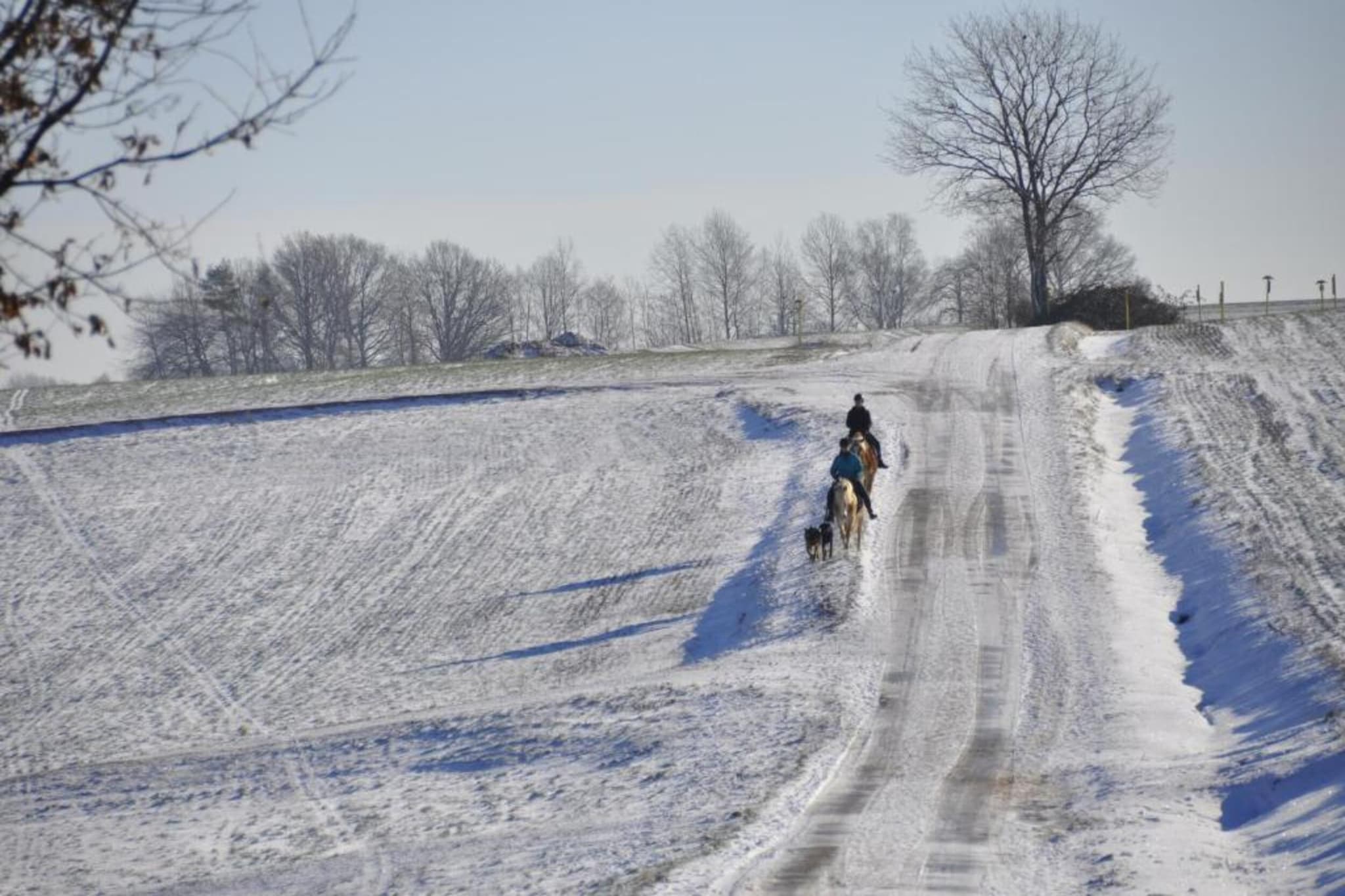 Im Erzgebirge-Gebied winter 20km
